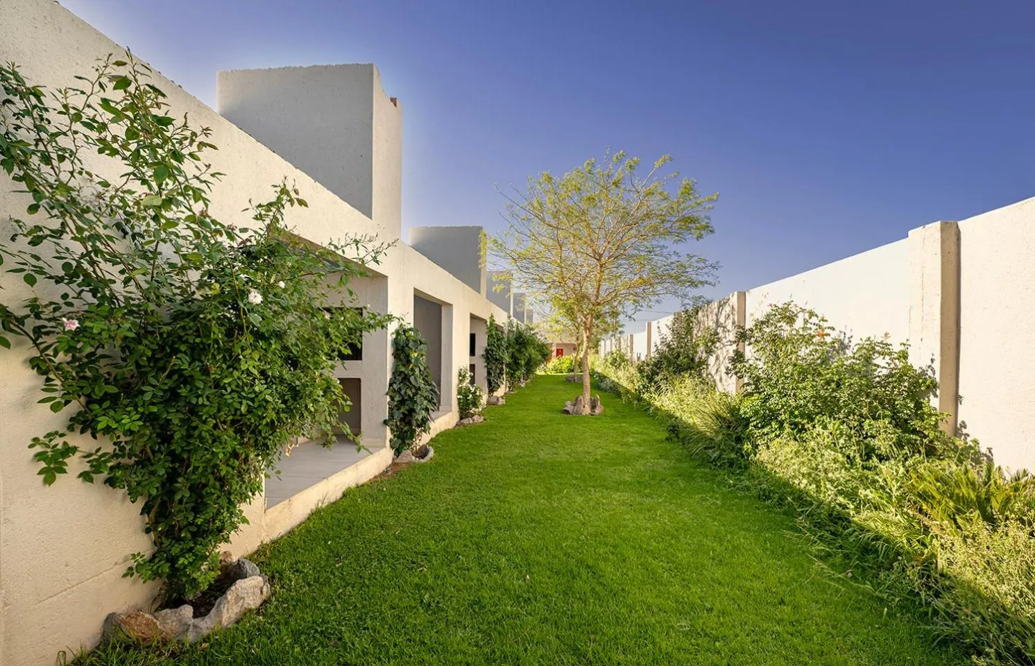 Natural landscape in Pofadder Inn