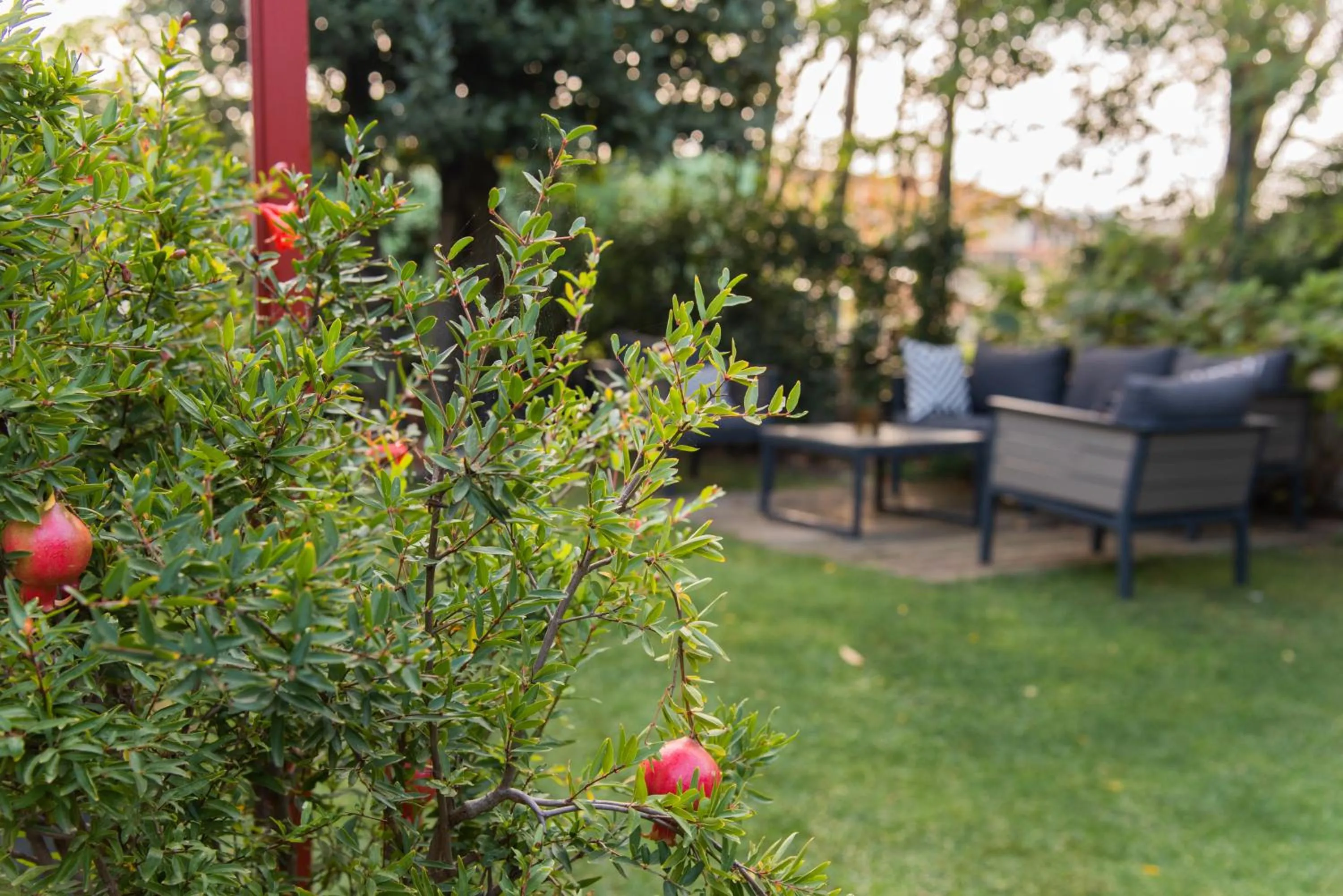 Garden in La Fonderia Firenze