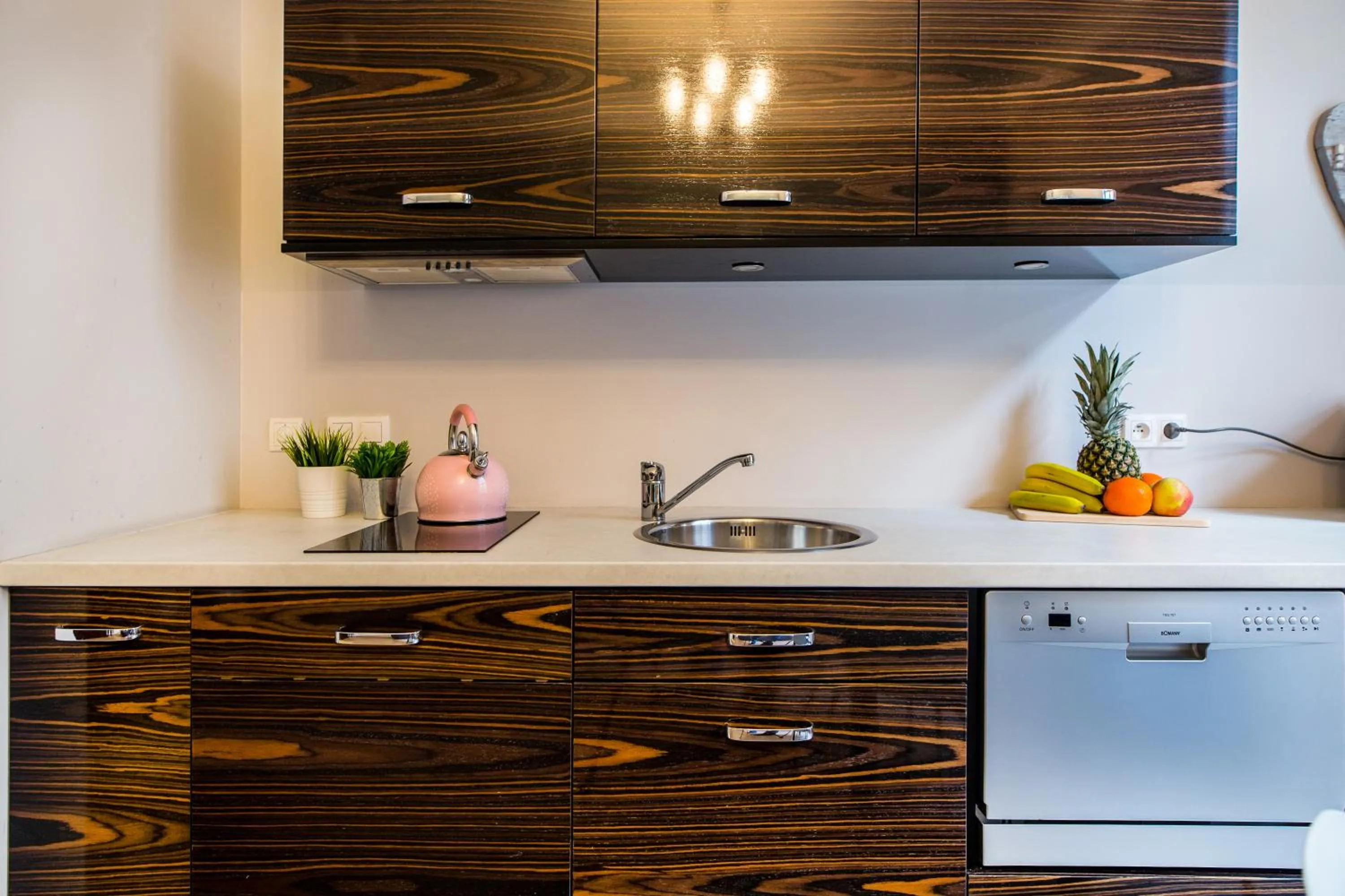 Kitchen or kitchenette in Cracow Rentals Zacisze