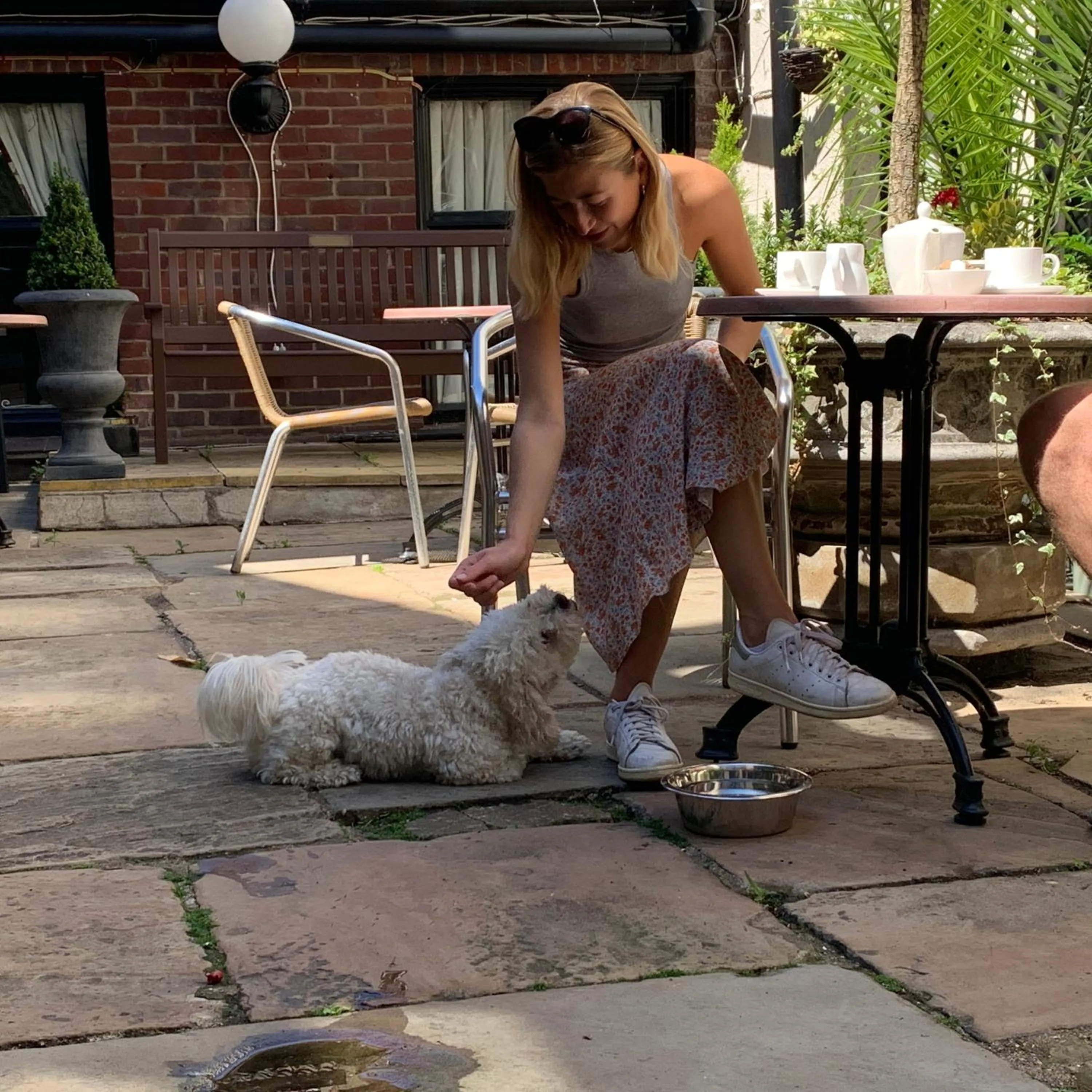Garden in The Maids Head Hotel