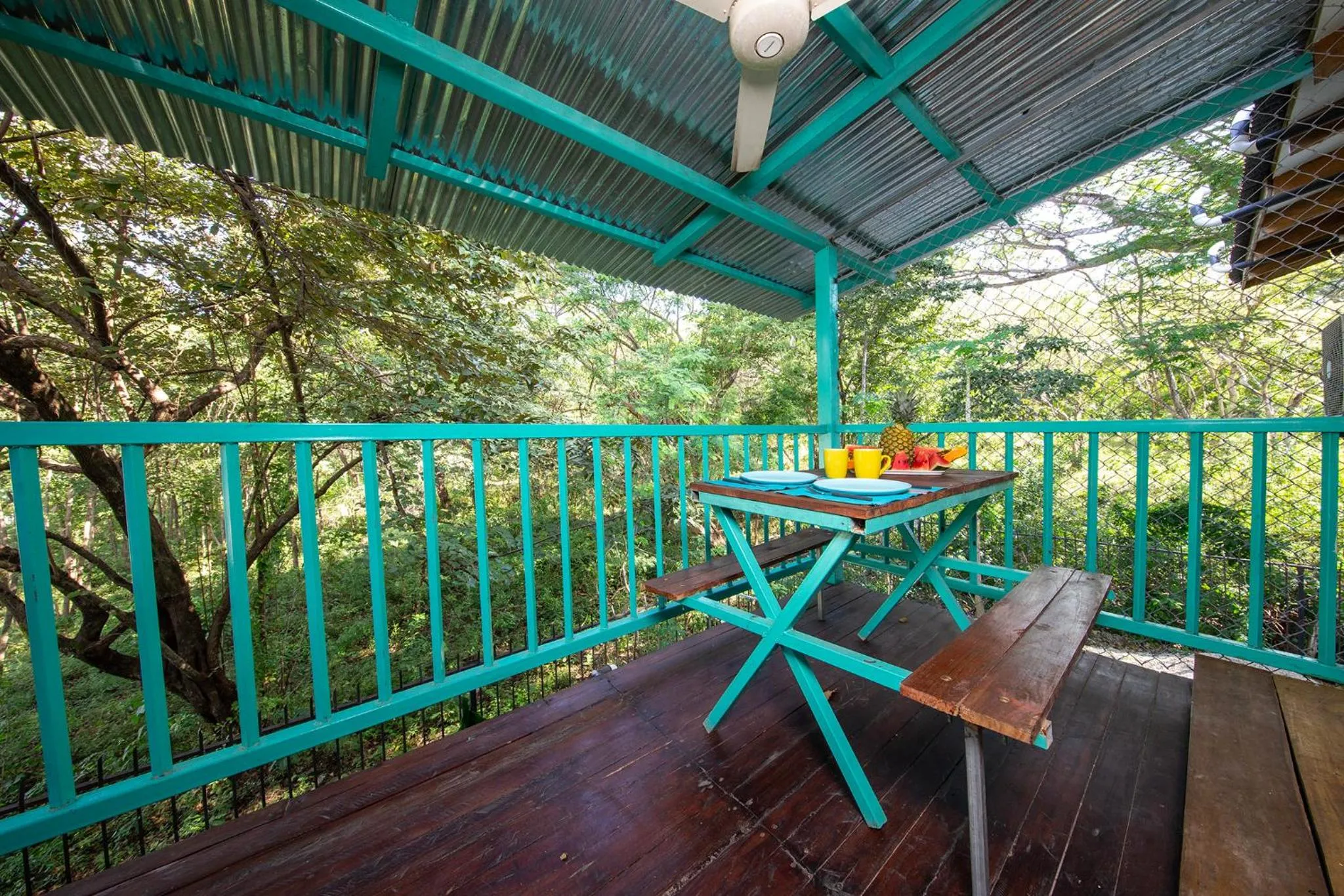 Property building in Hotel Diversion Tropical