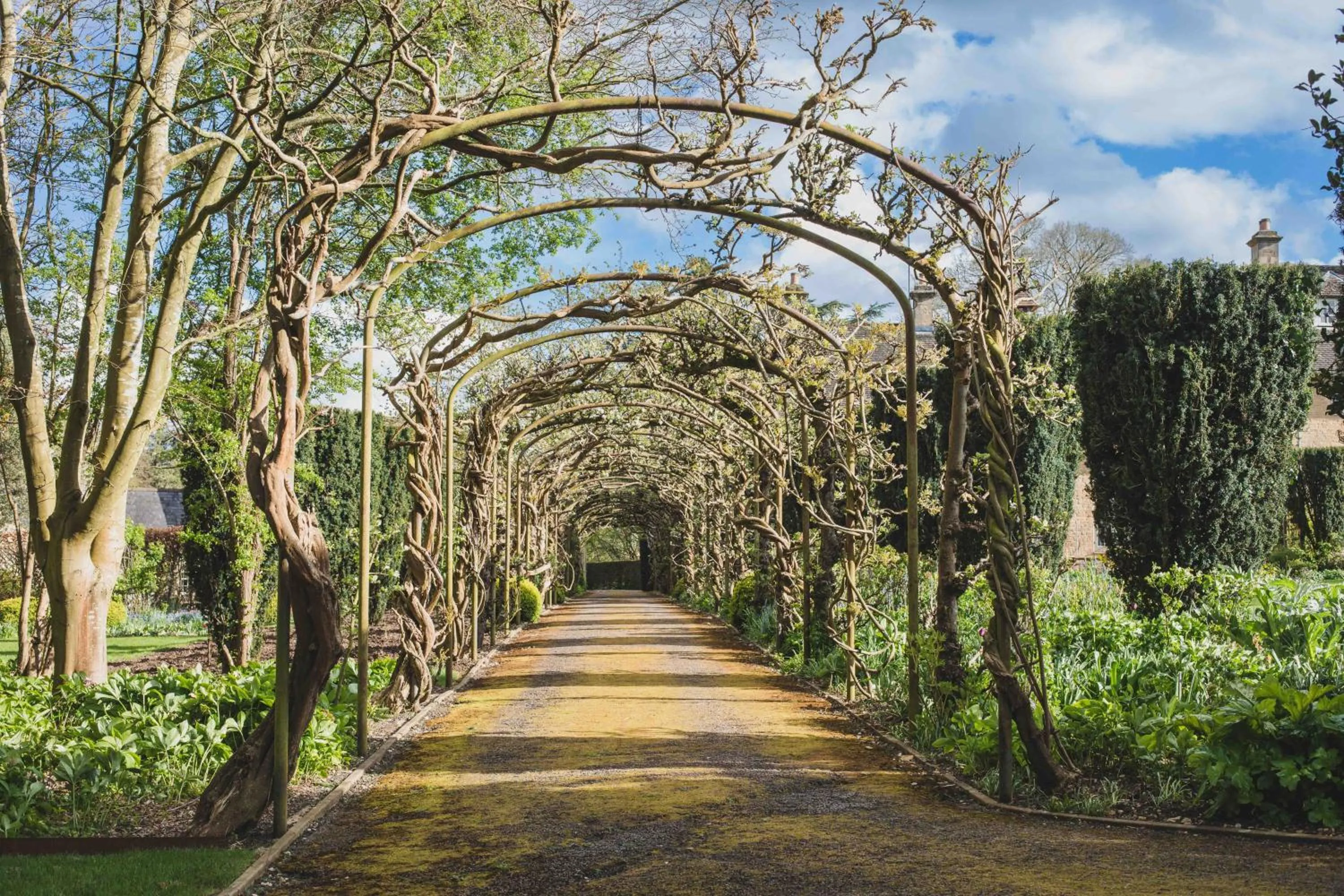 Garden in Goodwood Cottage