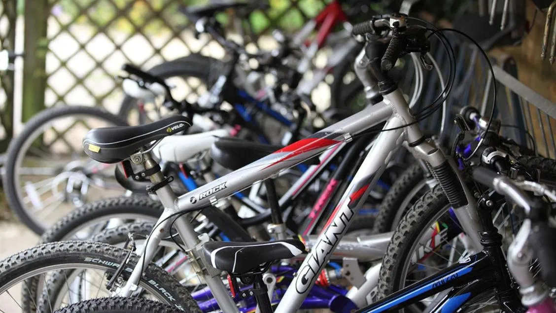 Cycling in Goodwood Cottage