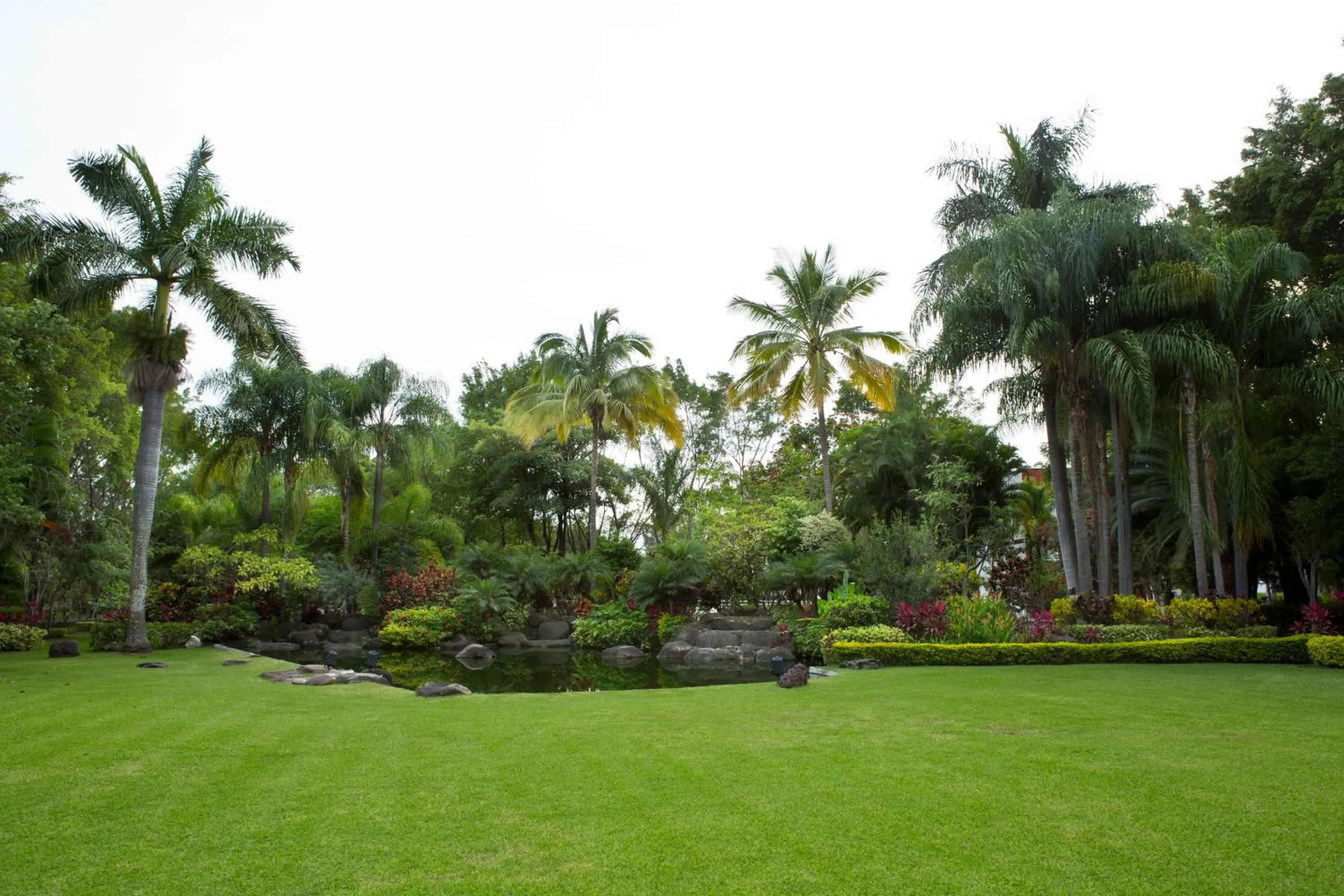 Natural landscape in Radisson Hotel Cuernavaca