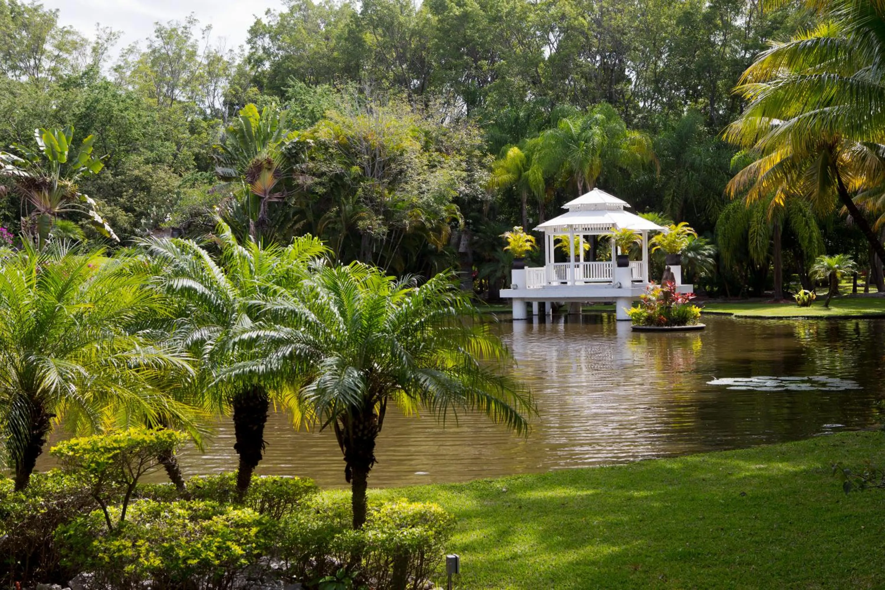 Garden in Radisson Hotel Cuernavaca