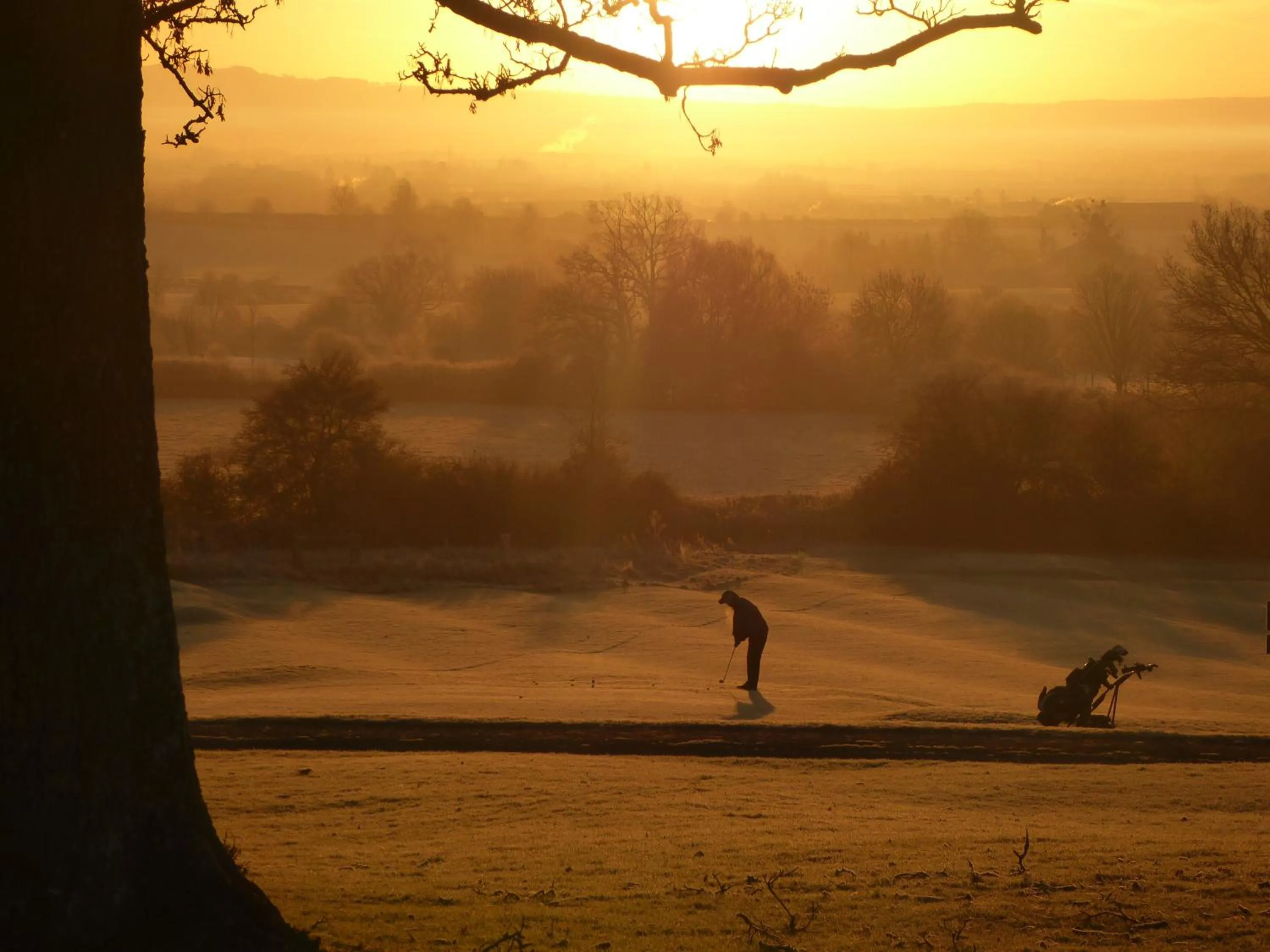 View (from property/room) in Tewkesbury Park