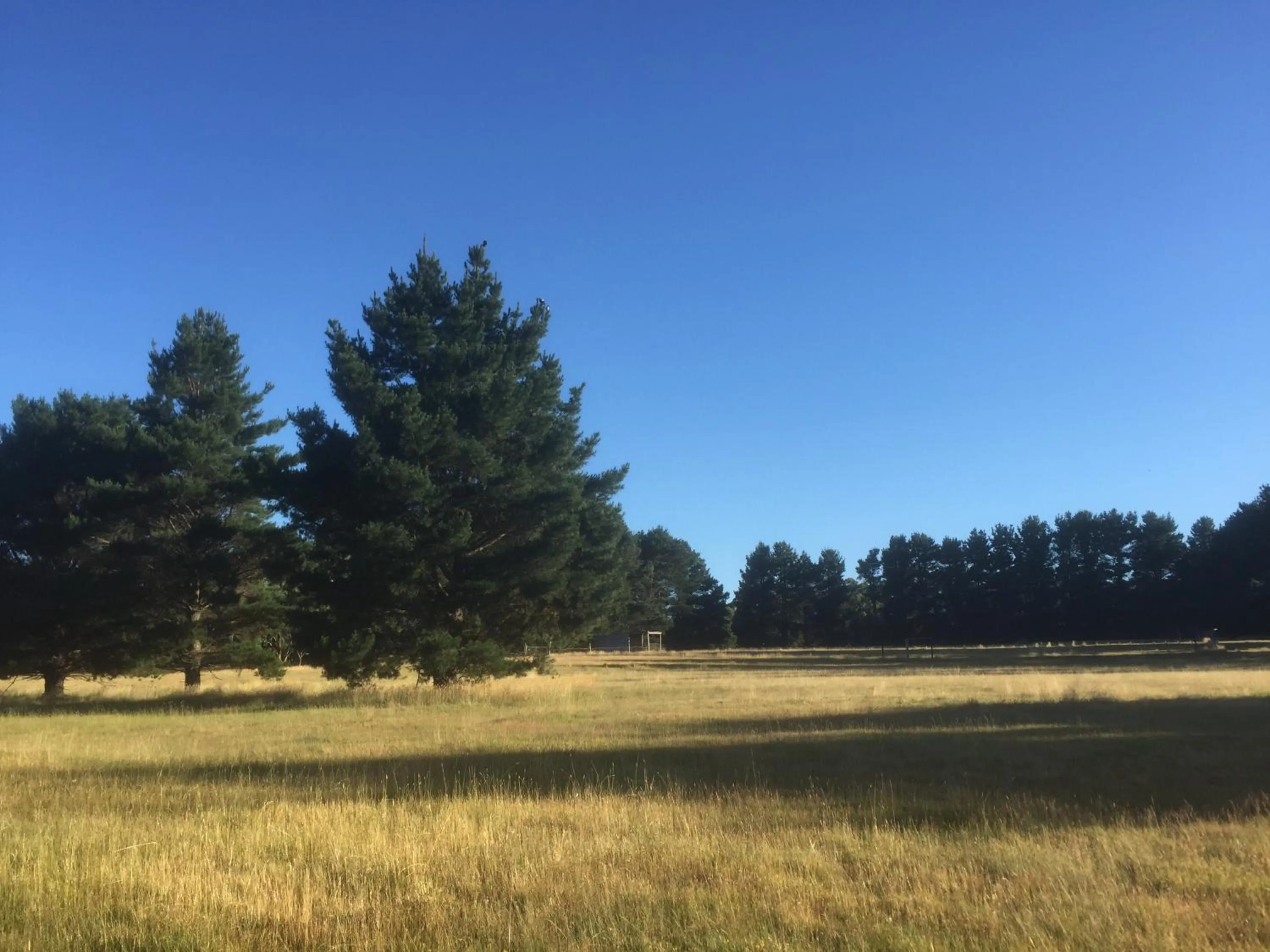 Natural landscape in Helen's Homestead