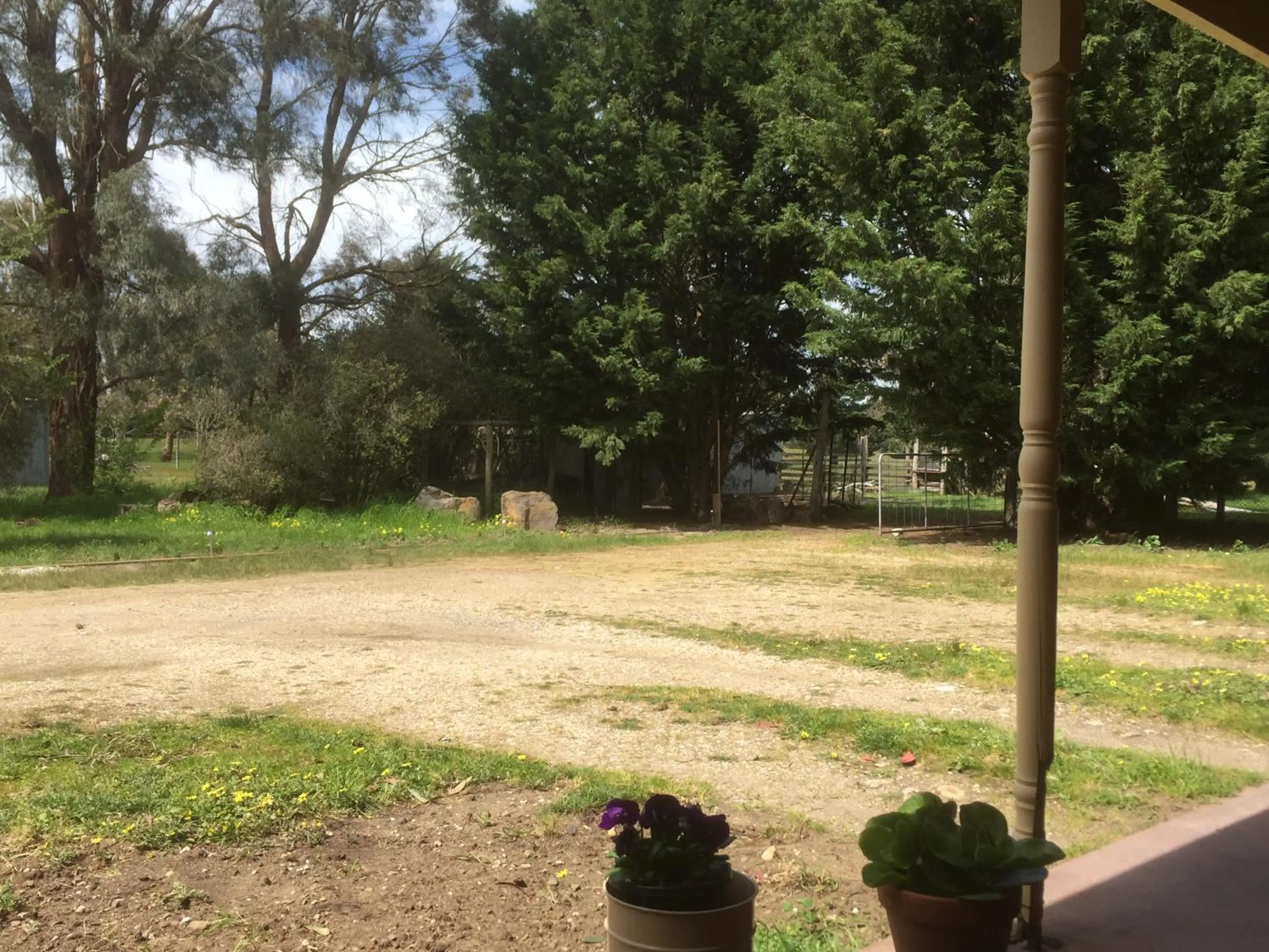 View (from property/room) in Helen's Homestead