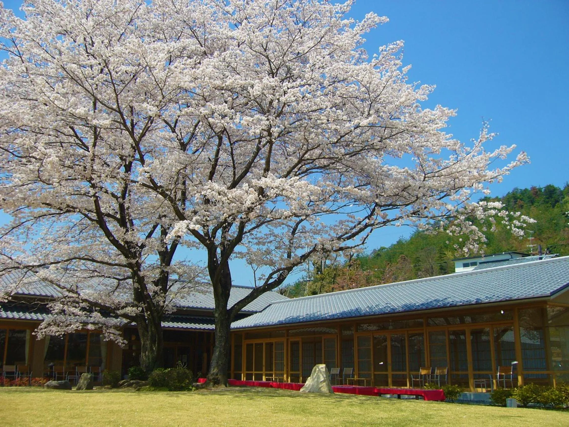 Property building in Kyoto Utano Youth Hostel