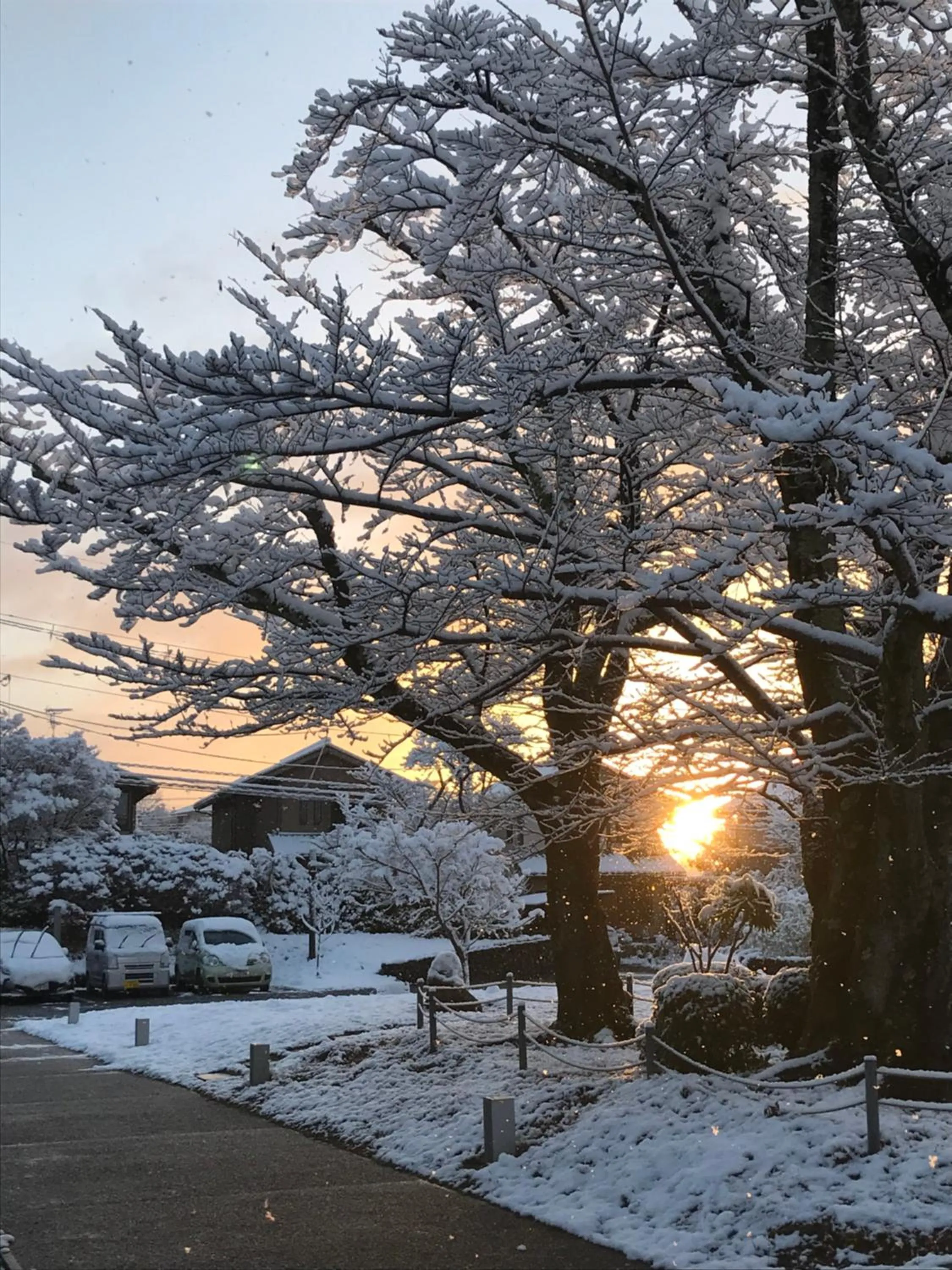 Property building in Kyoto Utano Youth Hostel