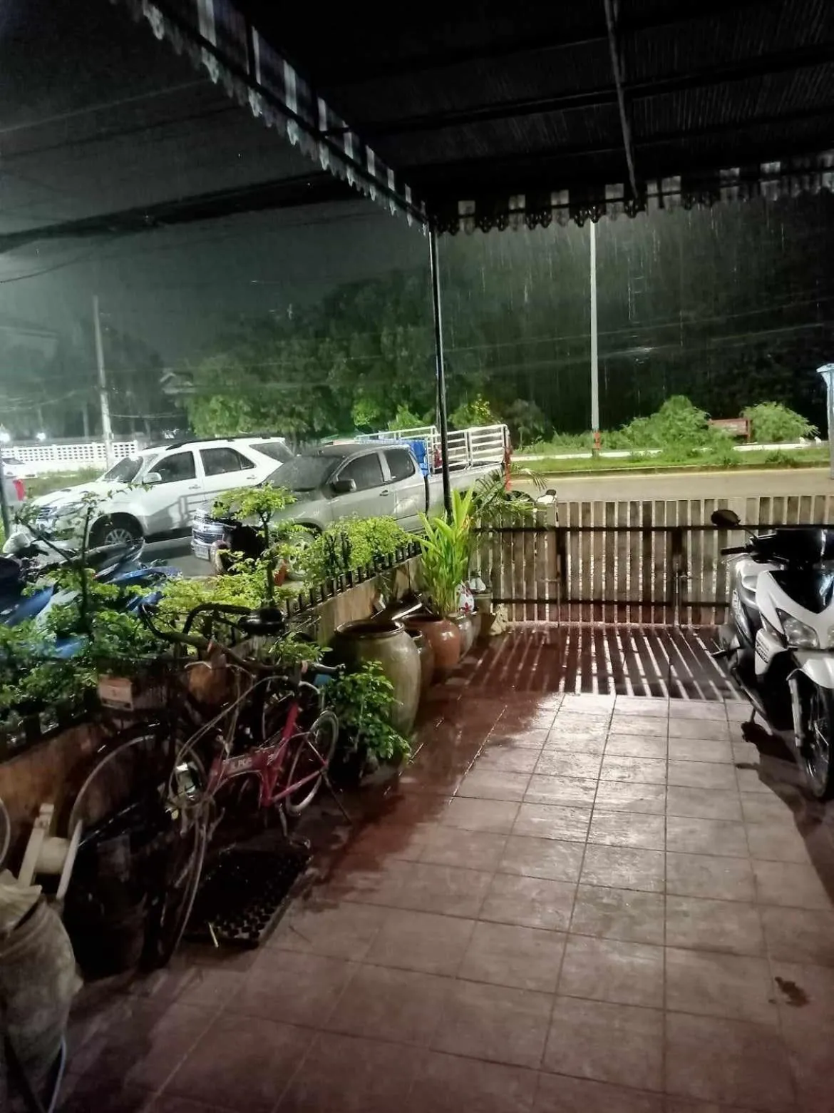 Garden in Muster Guesthouse