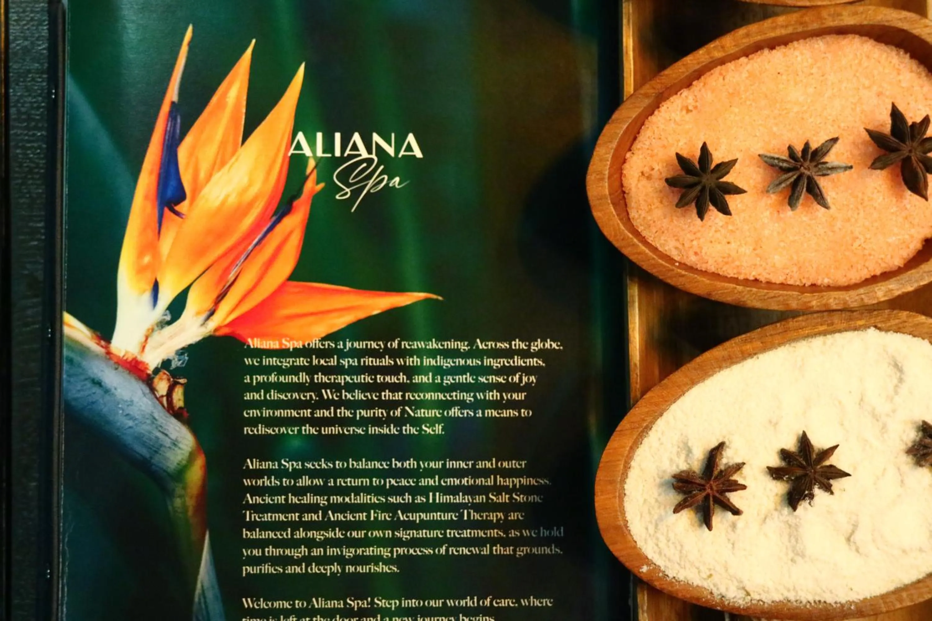 Spa and wellness centre/facilities in Aliana Boutique Sapa Hotel & Spa