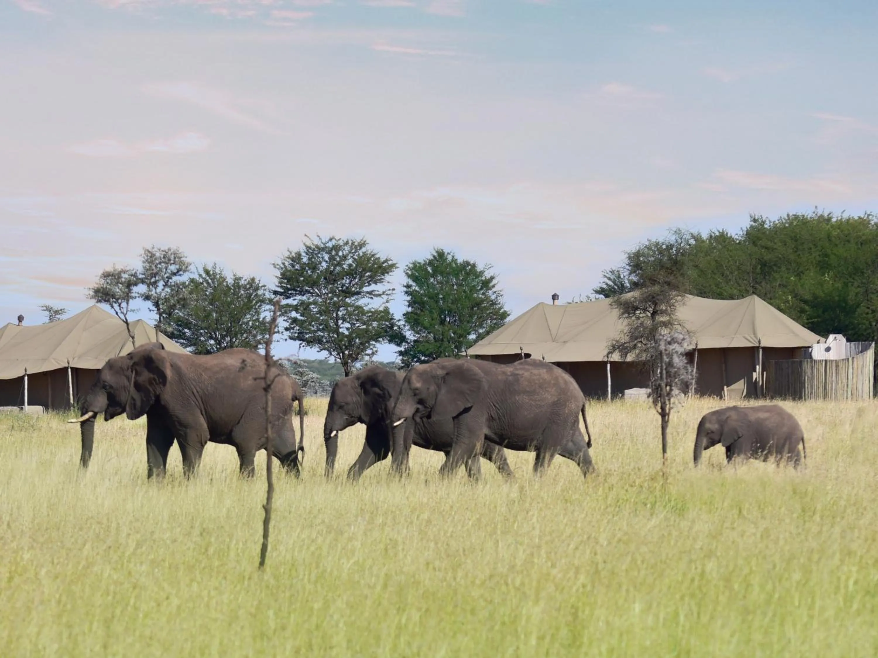 Activities in One Nature Nyaruswiga Serengeti