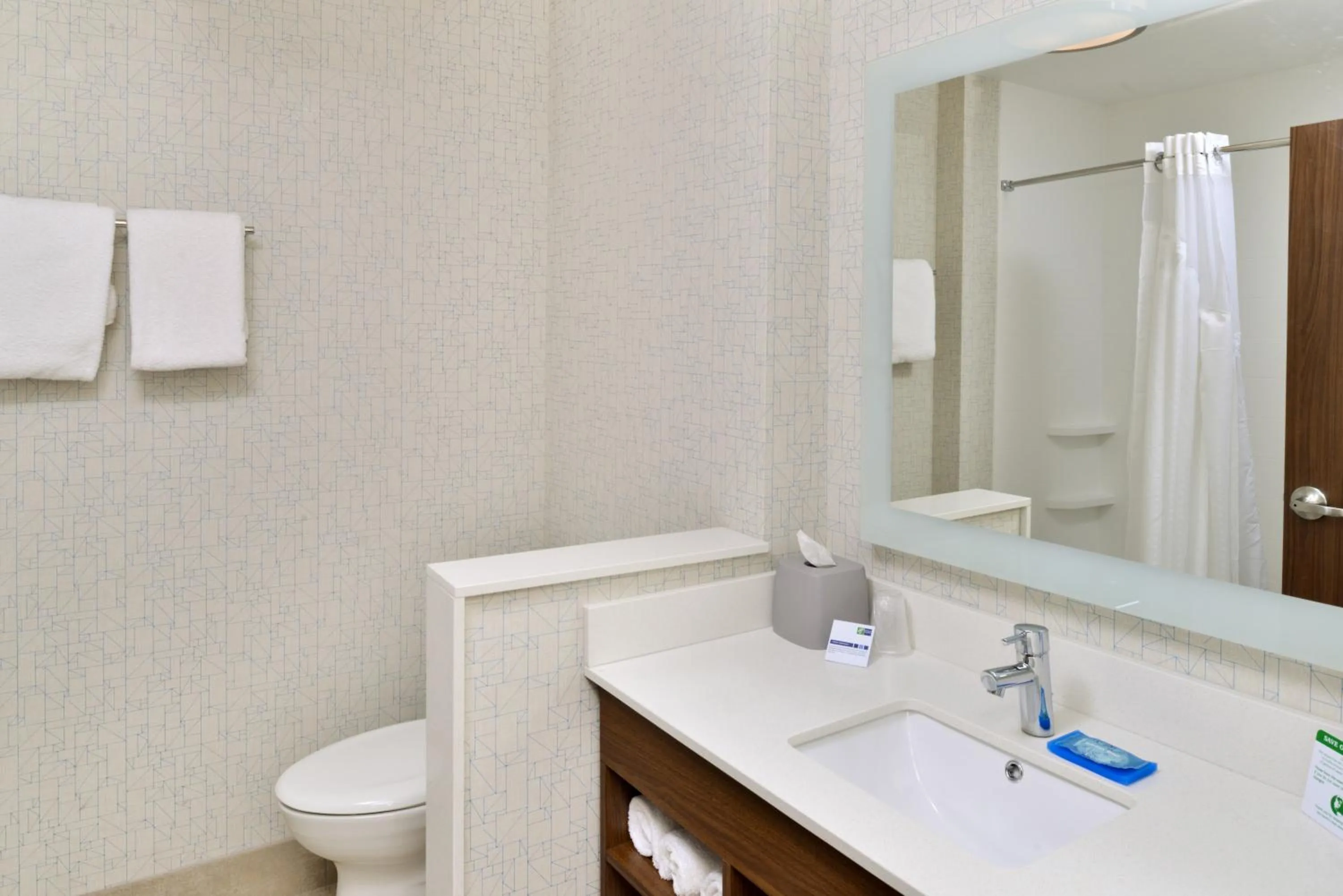 Bathroom in Holiday Inn Express & Suites - Ogallala by IHG