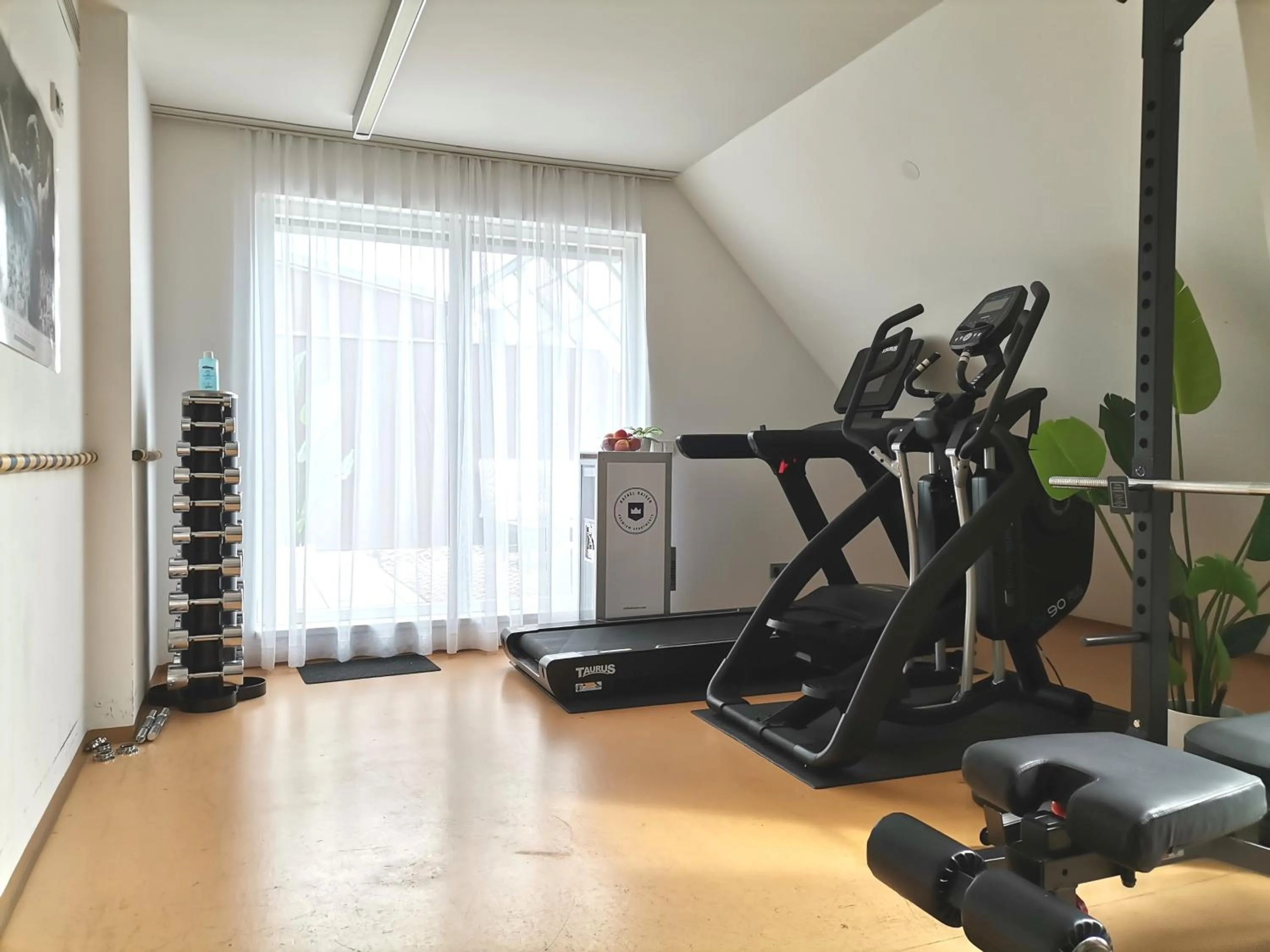 Fitness centre/facilities in RAFAEL KAISER - Premium Apartments City Centre - Contactless Check-In