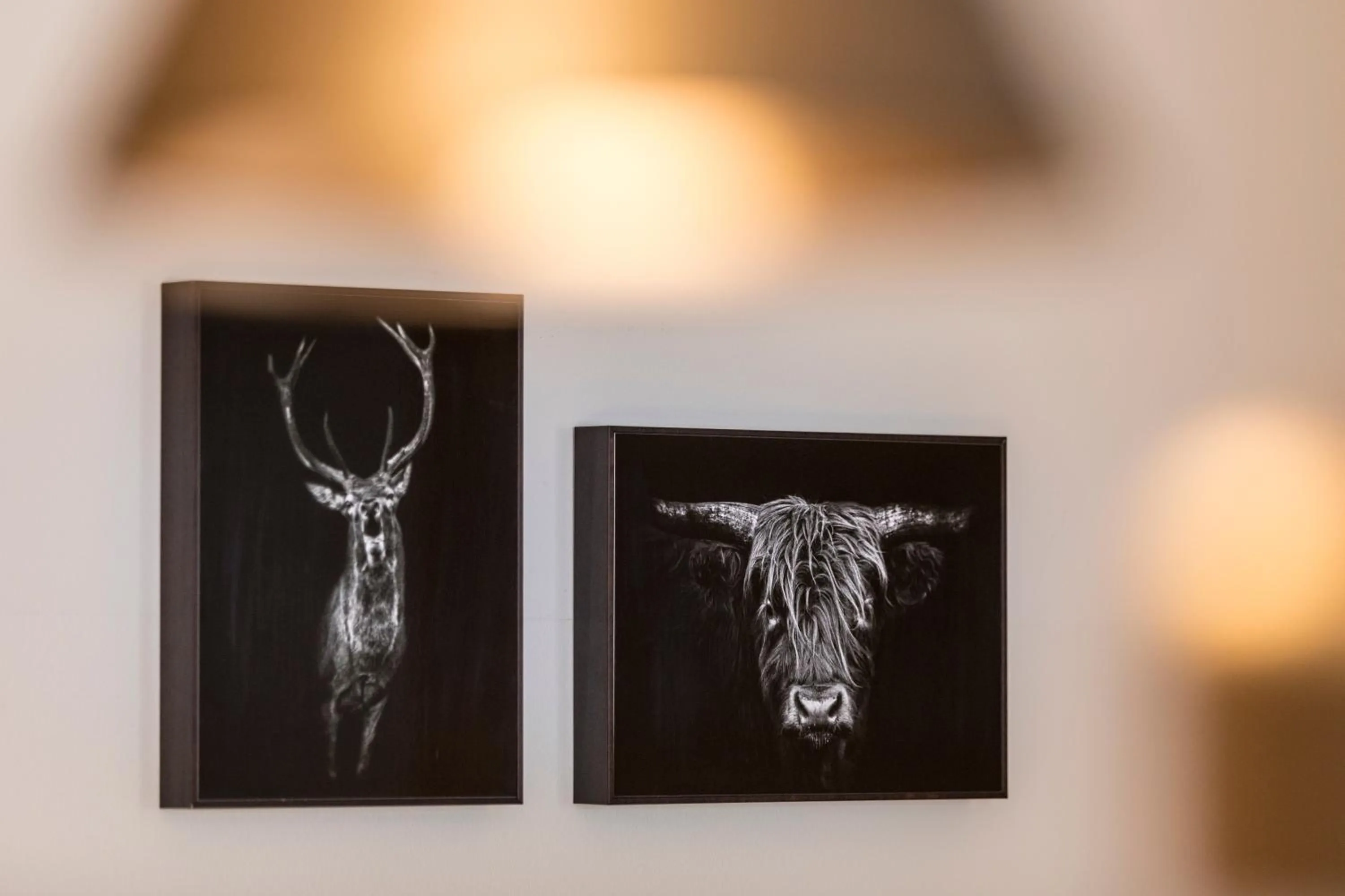 Other in RAFAEL KAISER - Premium Apartments City Centre - Contactless Check-In