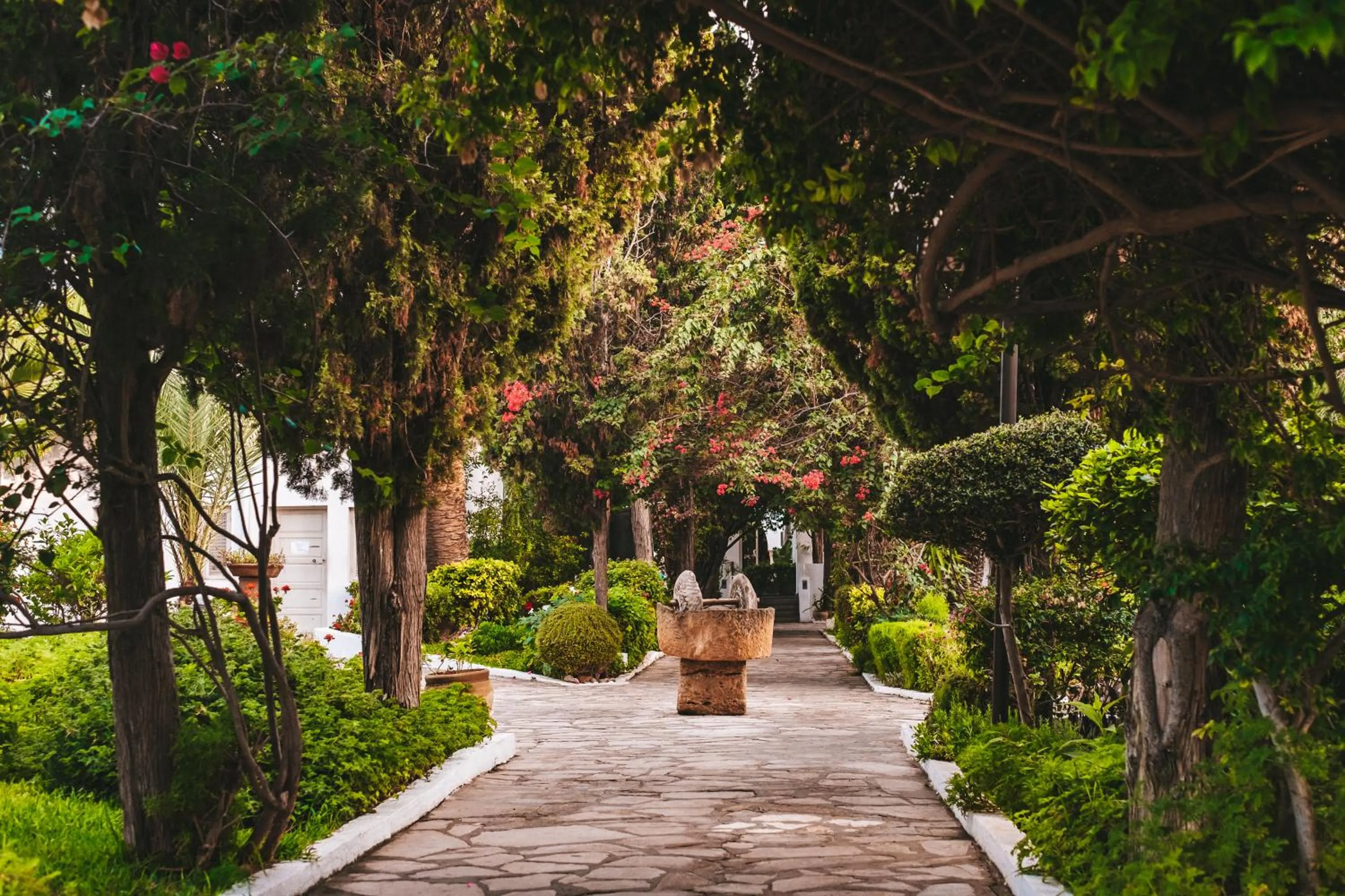 Garden in The Orangers Beach Resort and Bungalows All Inclusive