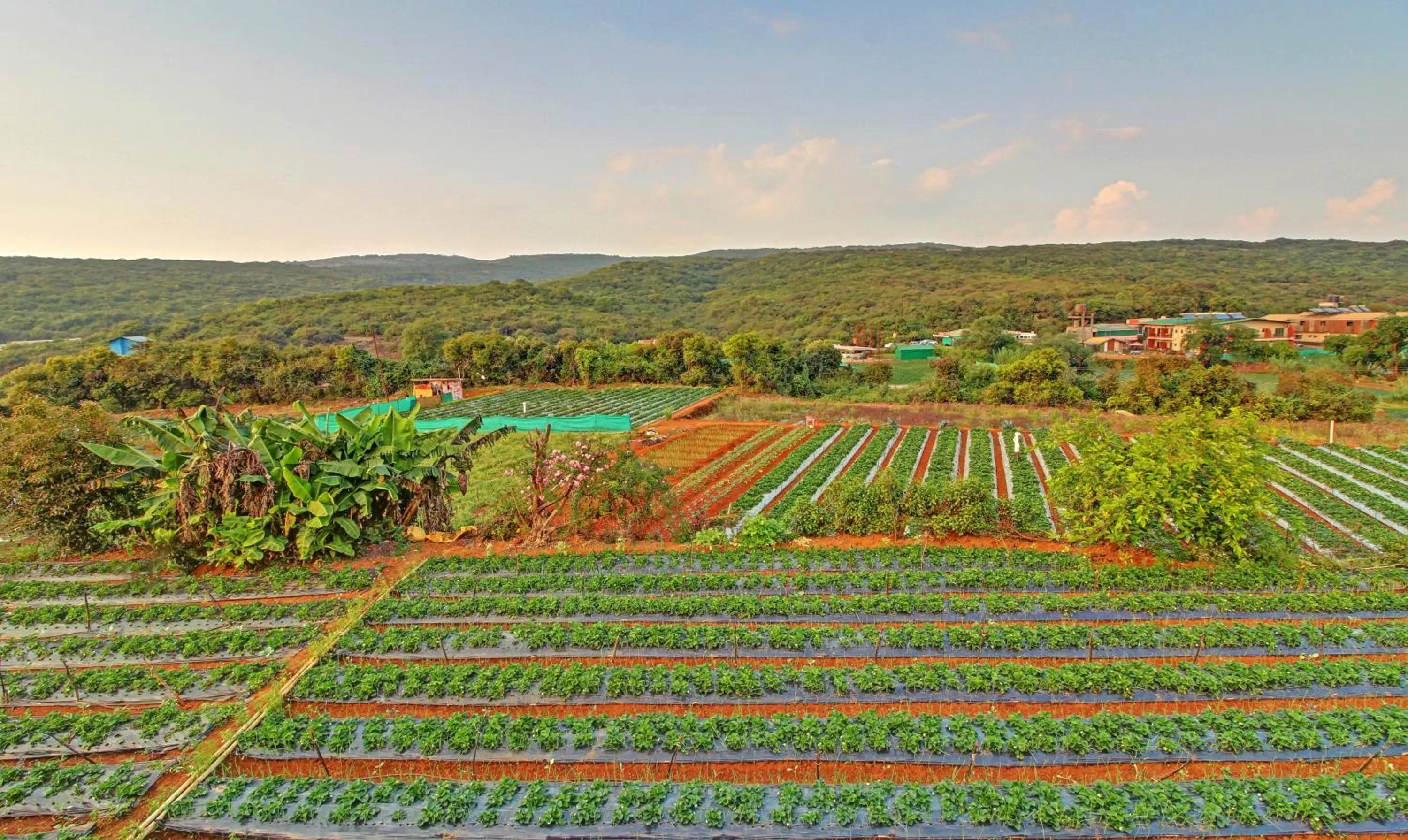 Natural landscape in Treebo Berry Hill Venna Lake, 3 Km From City Center