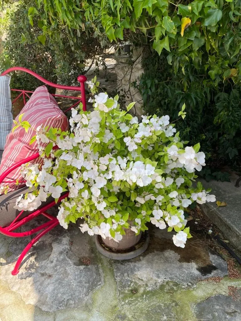 Property building in La Borie en Provence