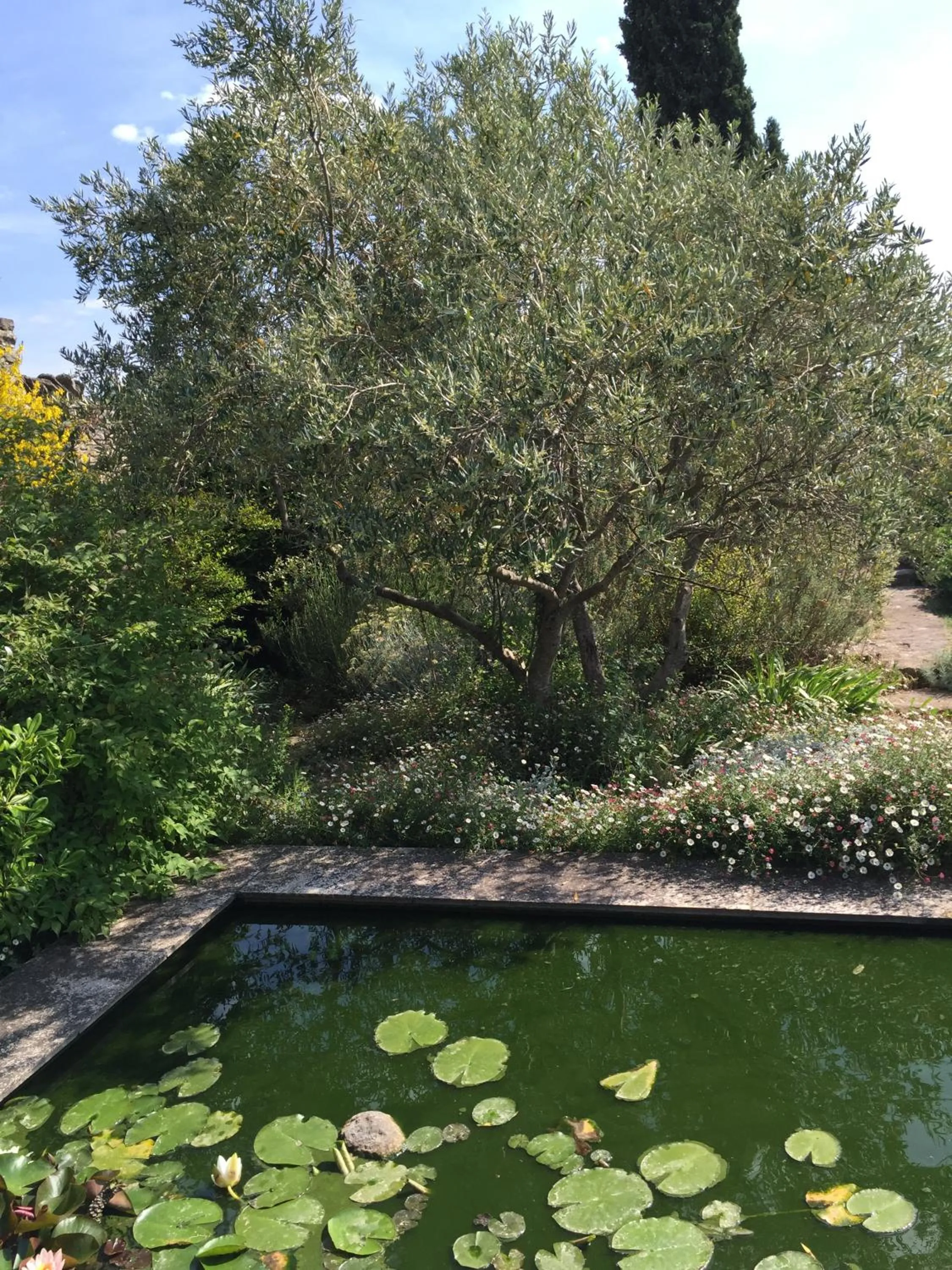 Garden in La Borie en Provence