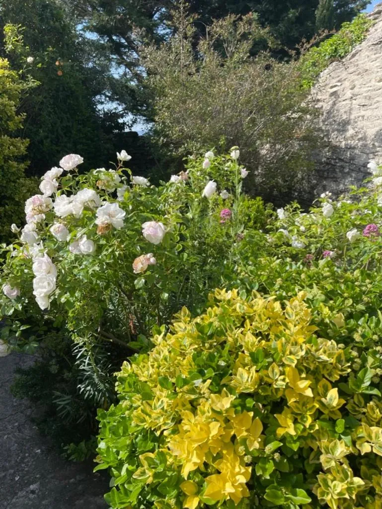 La Borie en Provence