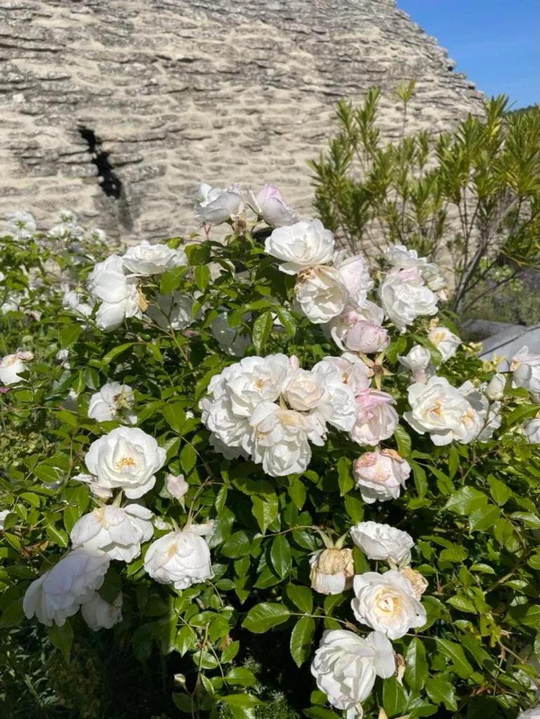 La Borie en Provence