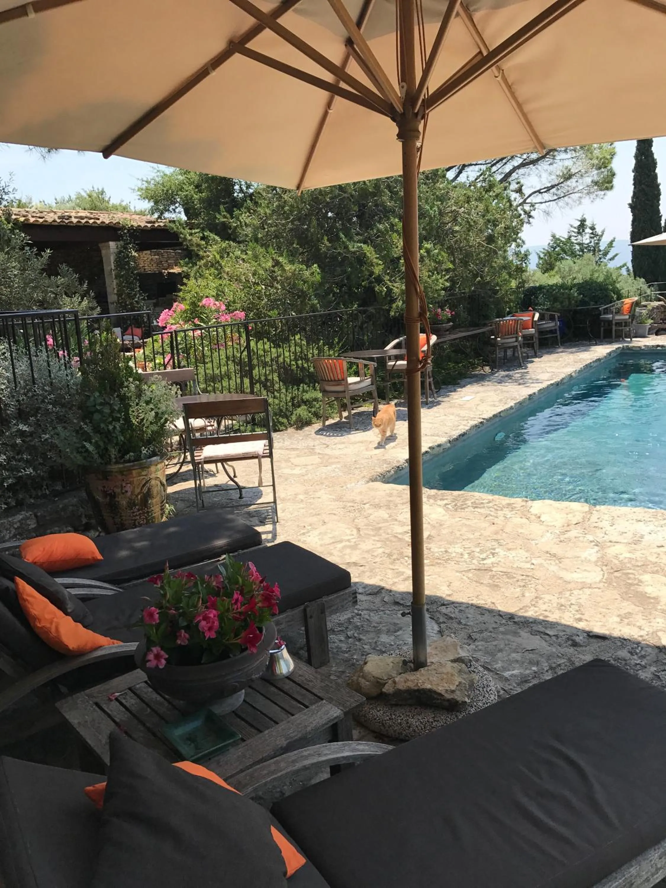 Swimming pool in La Borie en Provence