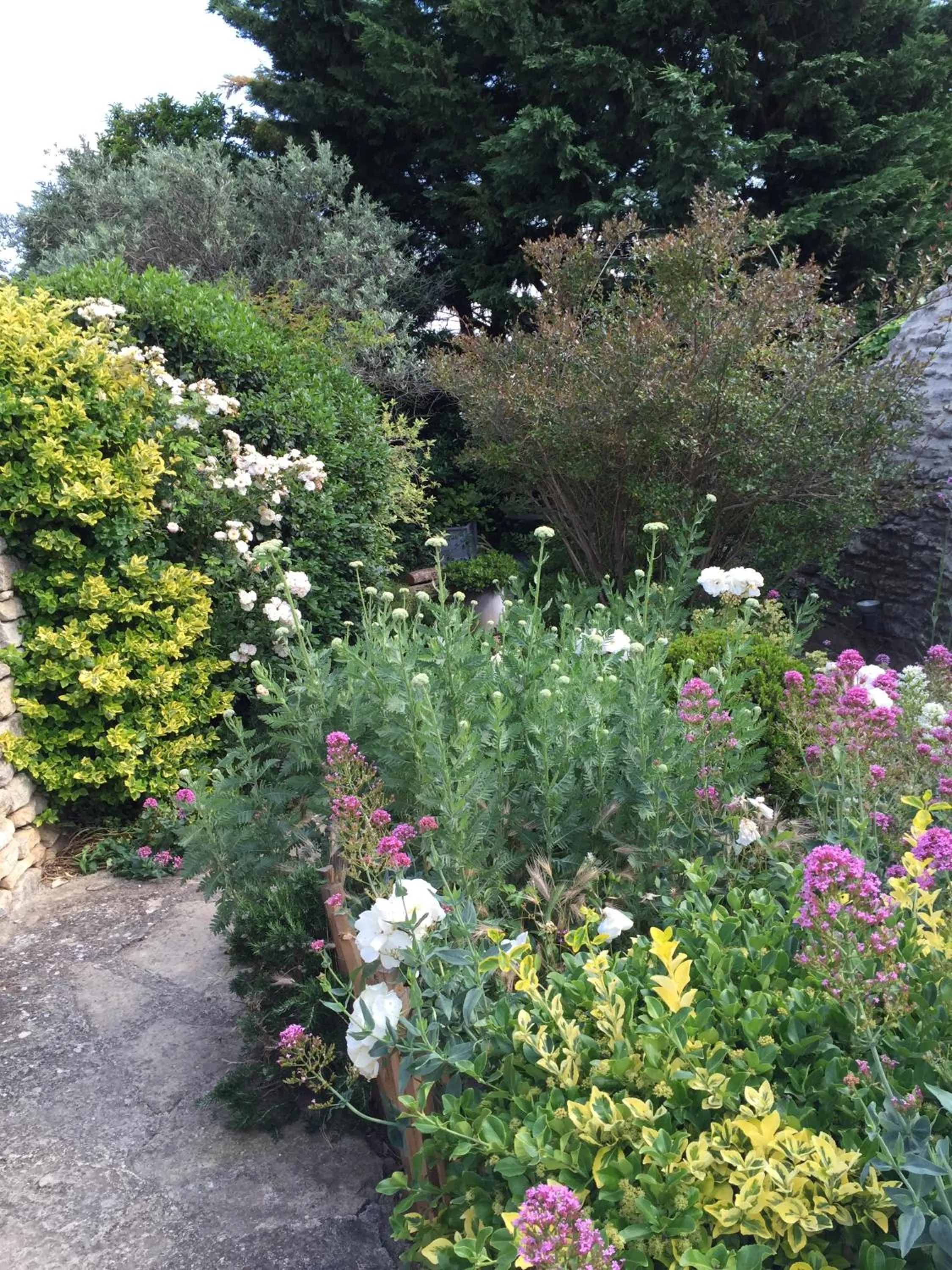 Garden in La Borie en Provence