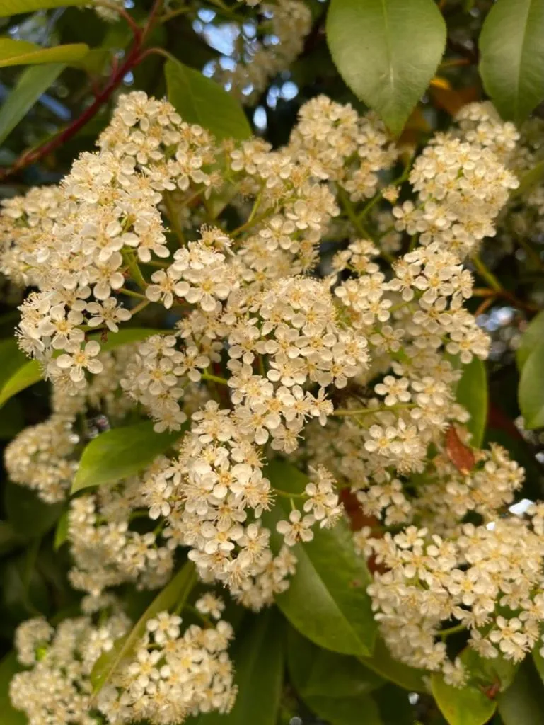 La Borie en Provence