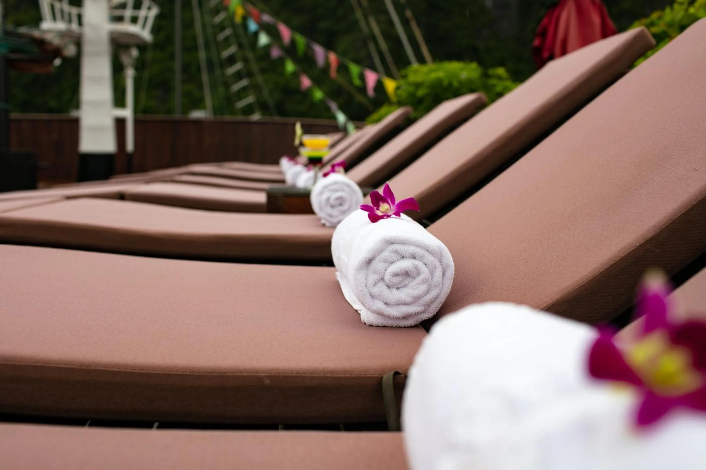 Alisa Premier Cruise