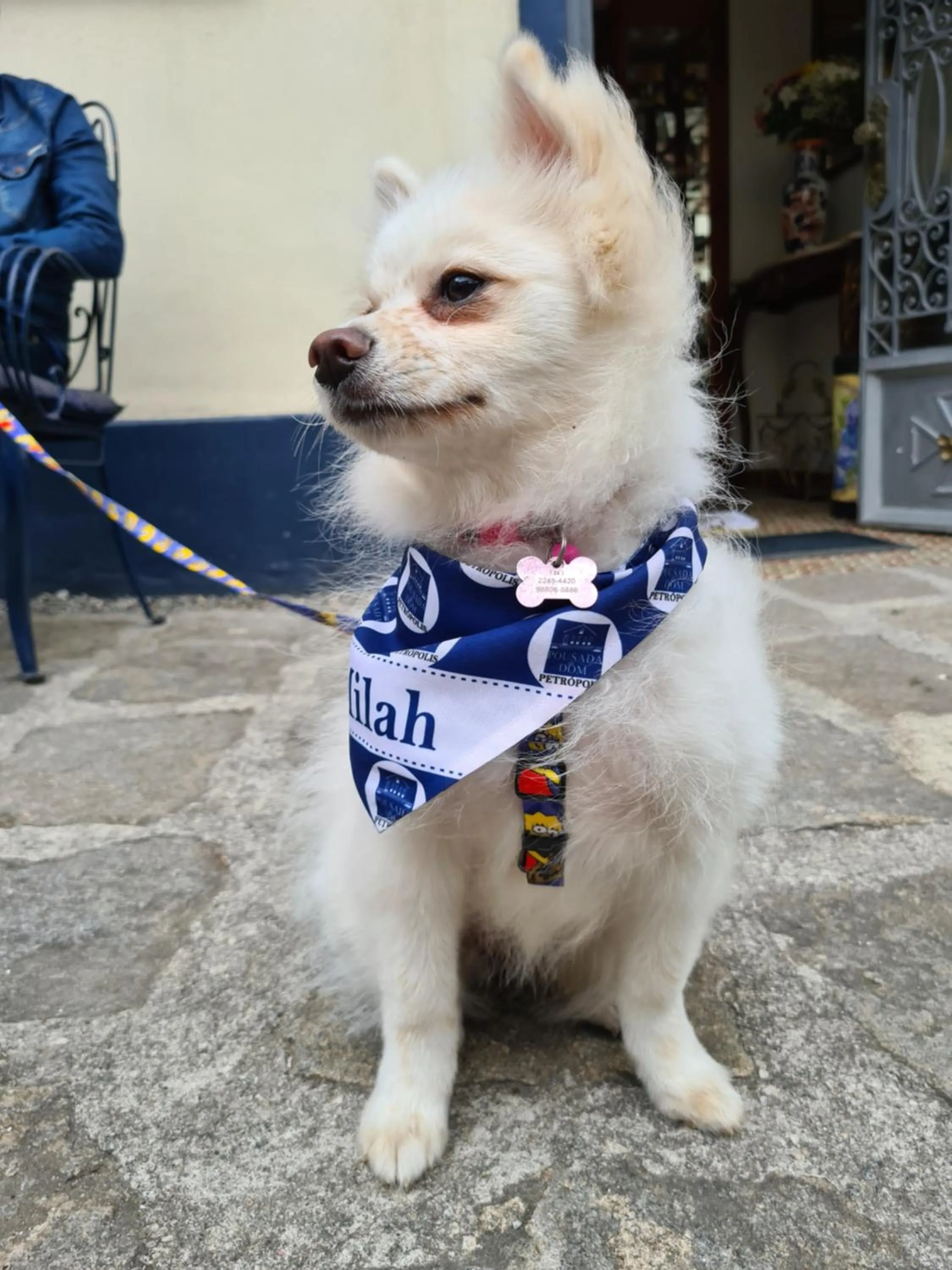 Animals in Pousada Dom Petrópolis