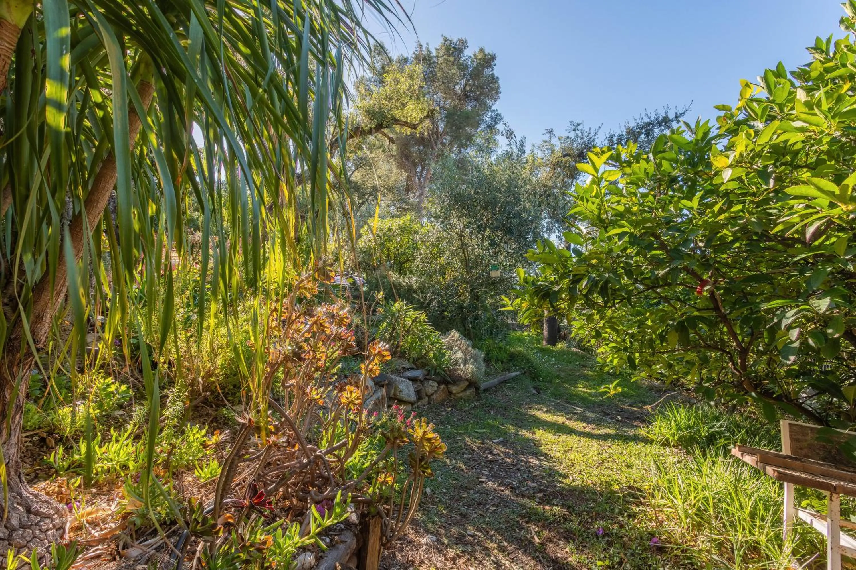Au Jardin Des Couleurs