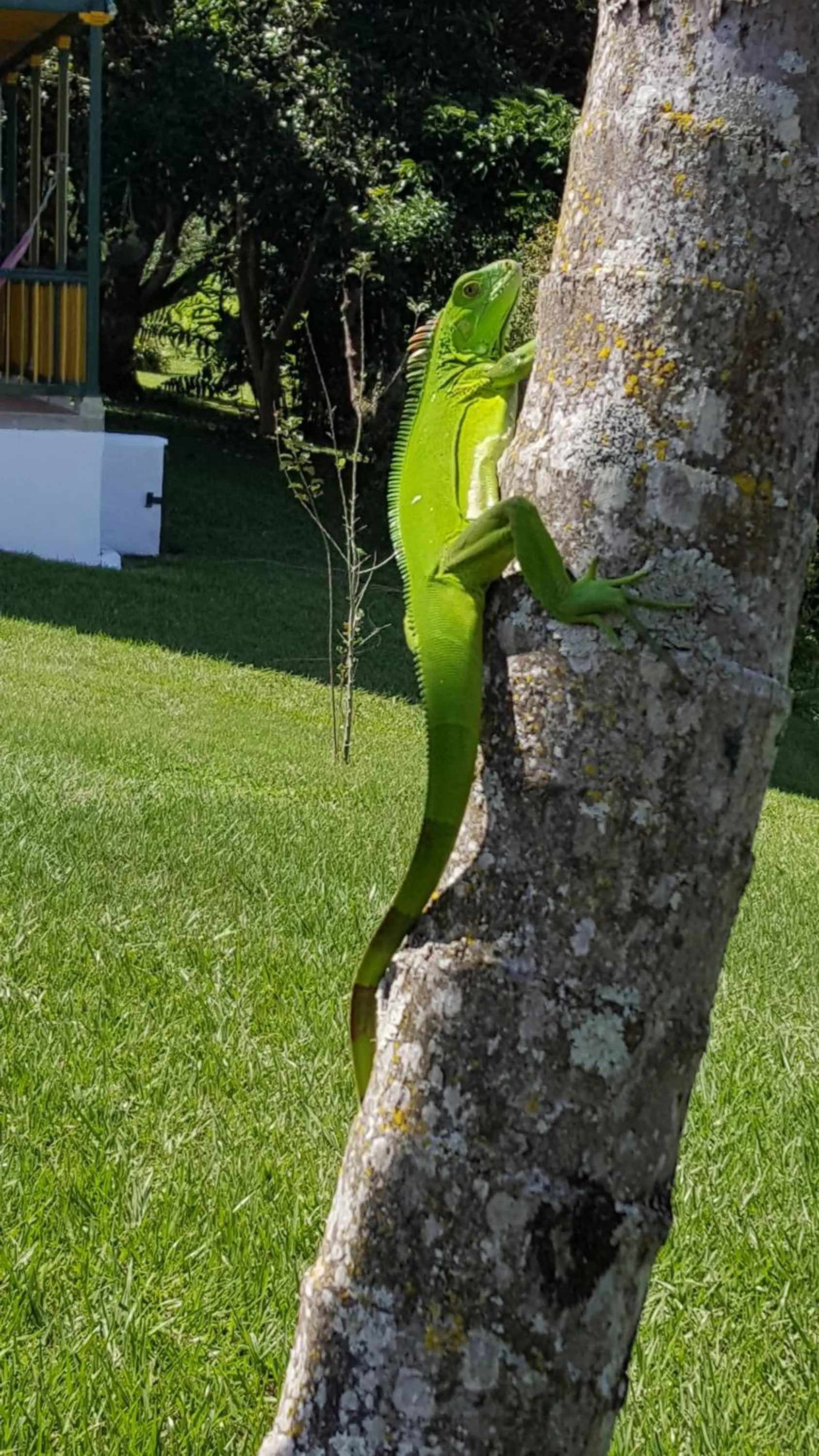 Garden in Finca Hotel el Palmar