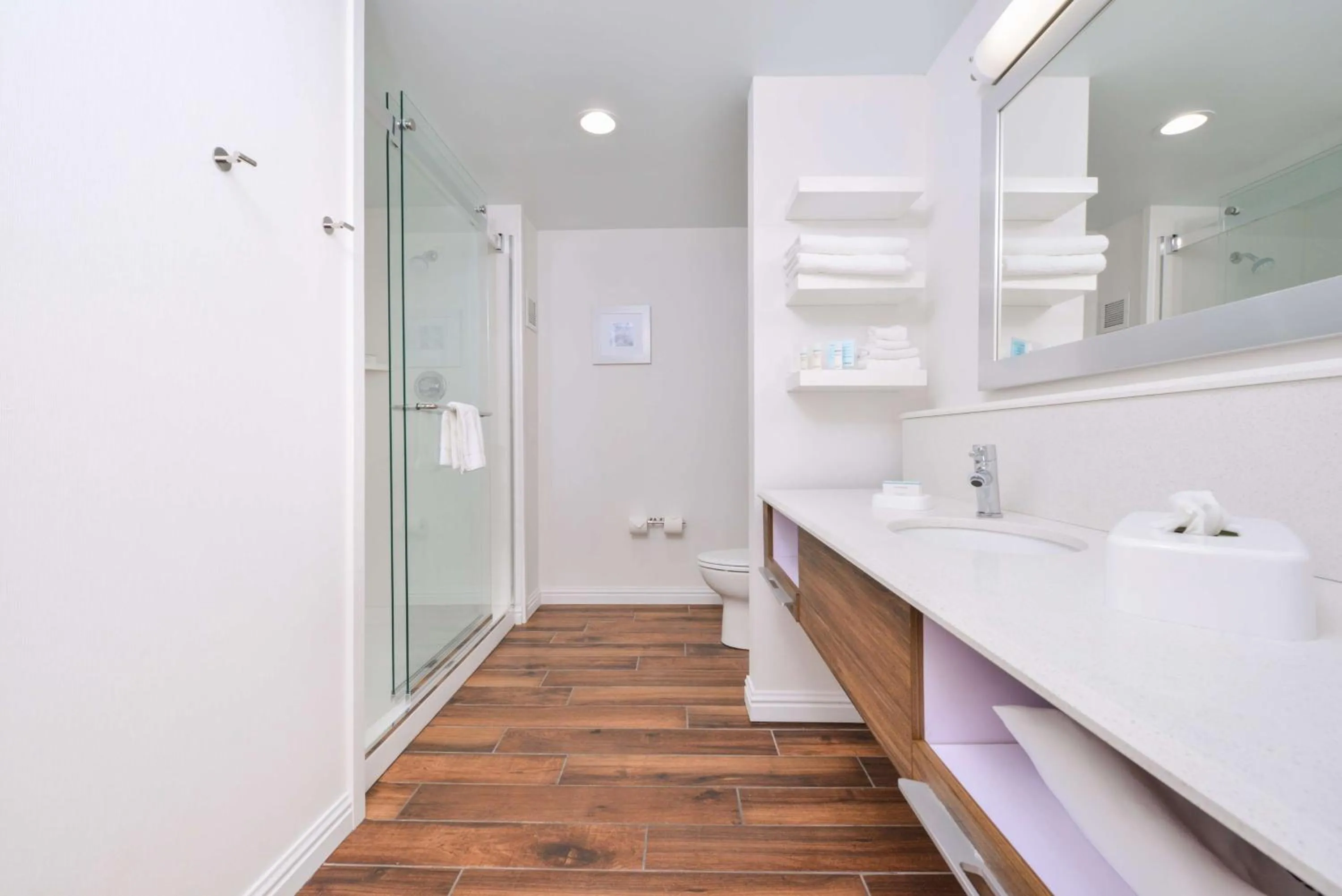 Bathroom in Hampton Inn Emporia, KS