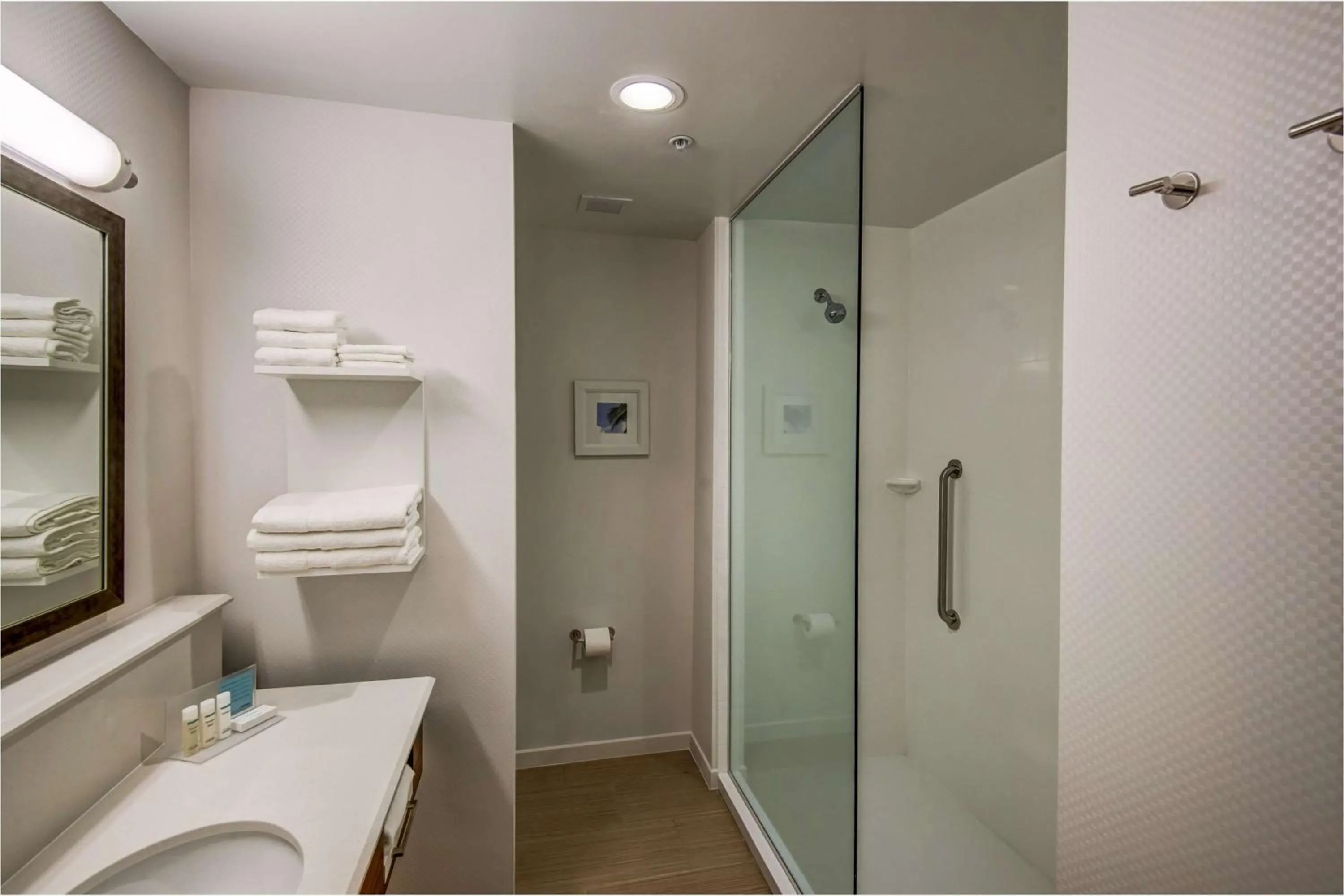 Bathroom in Hampton Inn Plant City