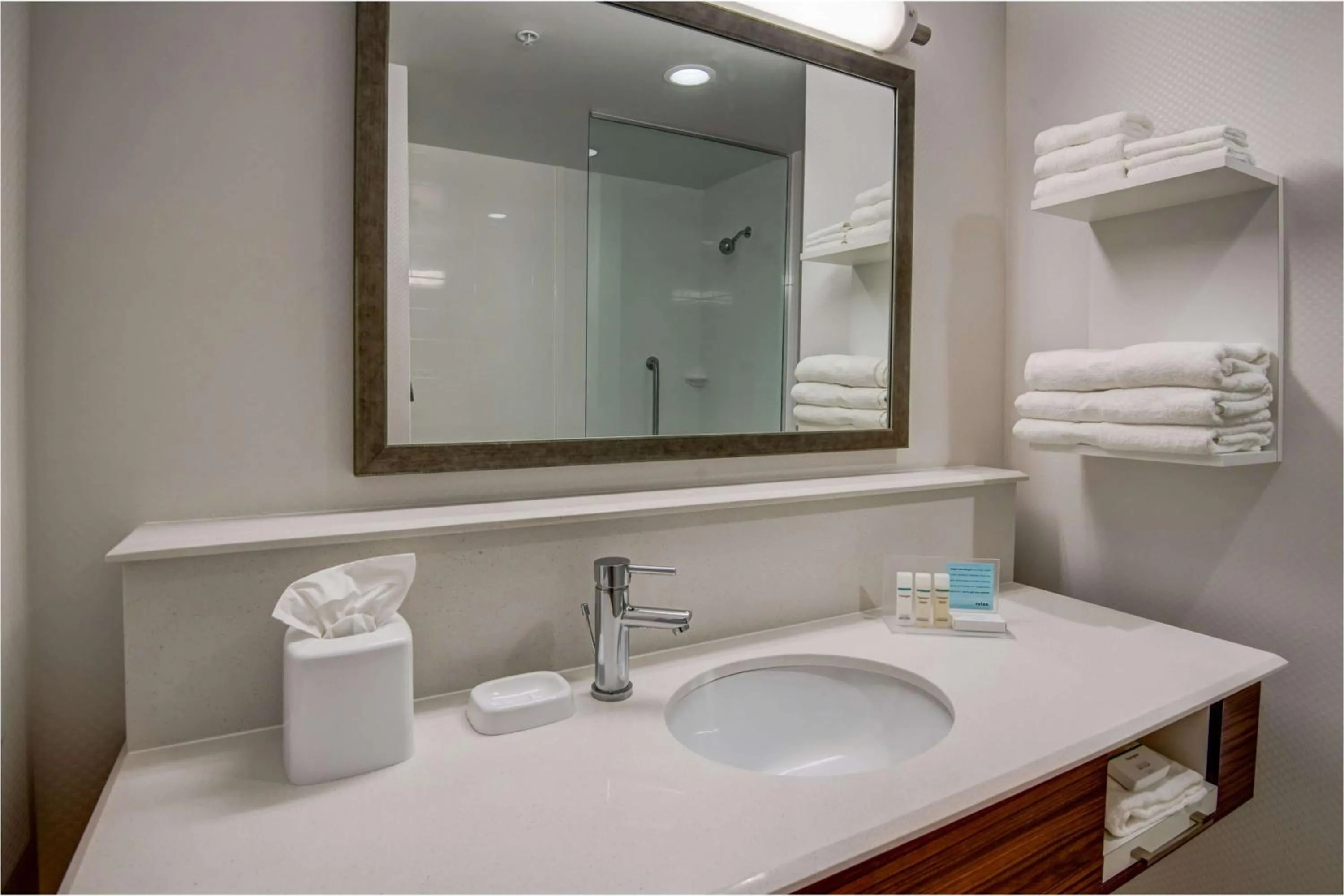 Bathroom in Hampton Inn Plant City