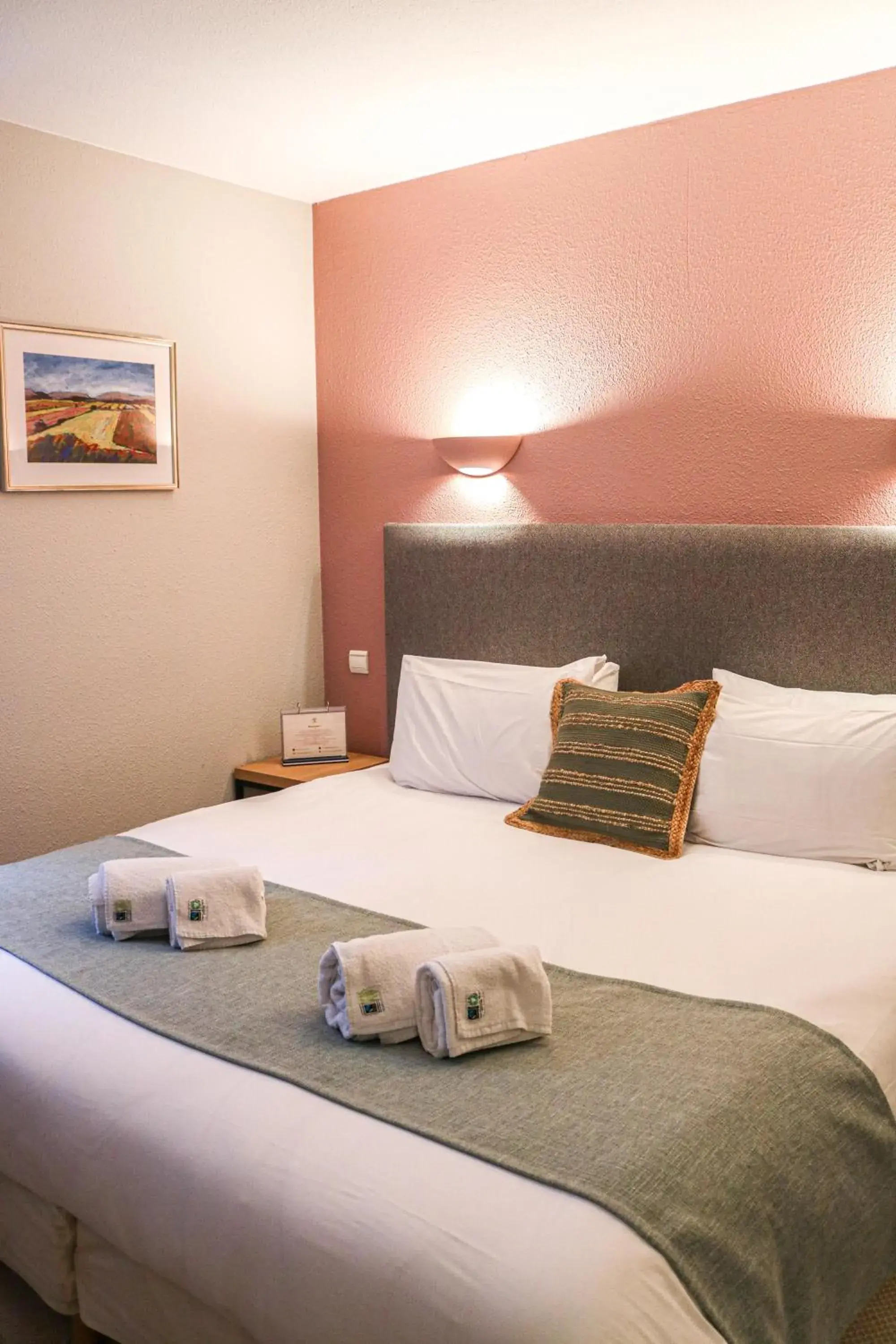 Double Room in Logis Hôtel La Bastide De Grignan & Restaurant "La Chênaie" Double Room in Logis Hôtel La Bastide De Grignan & Restaurant "La Chênaie"