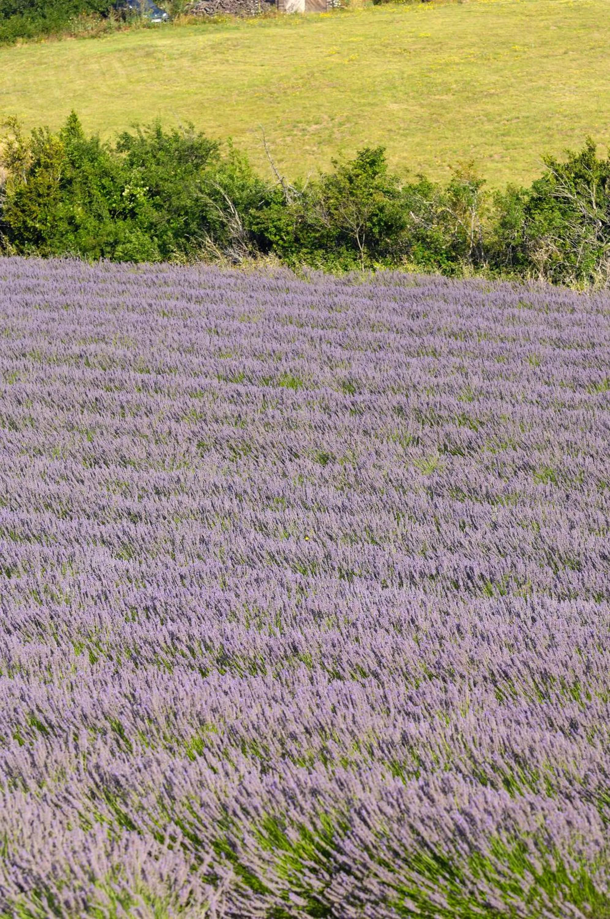 Natural landscape in Logis Hôtel La Bastide De Grignan & Restaurant "La Chênaie"