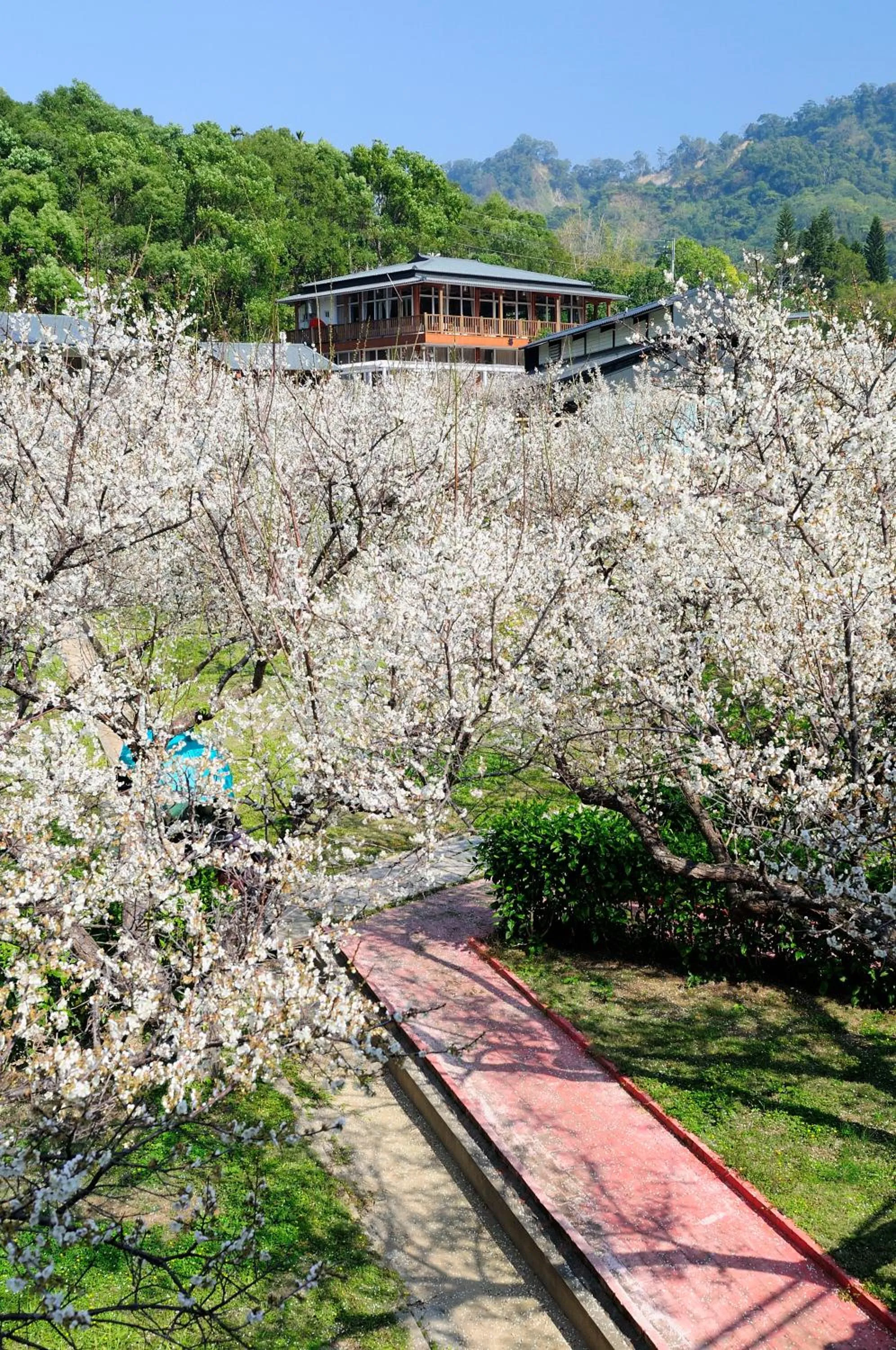 Off site in Maylin B&B