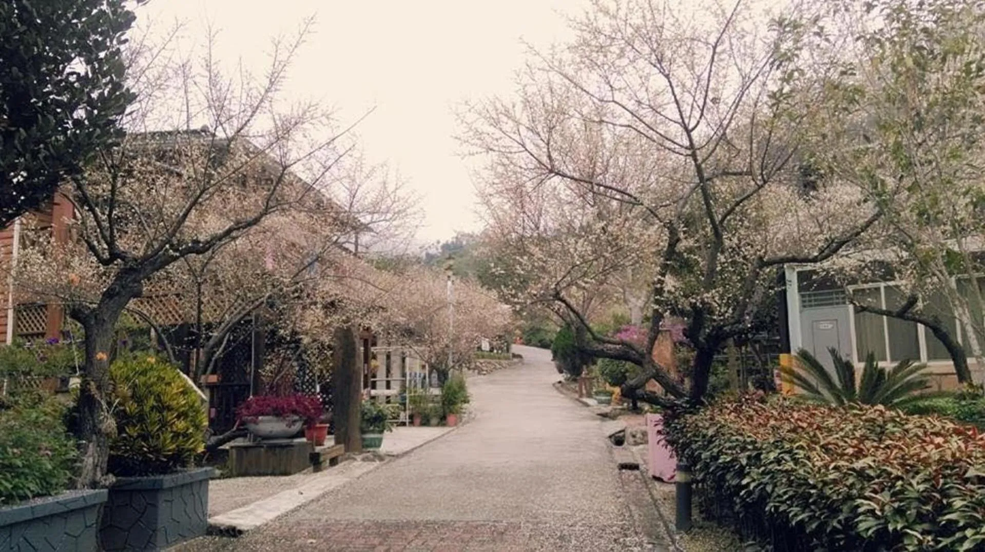 Off site in Maylin B&B