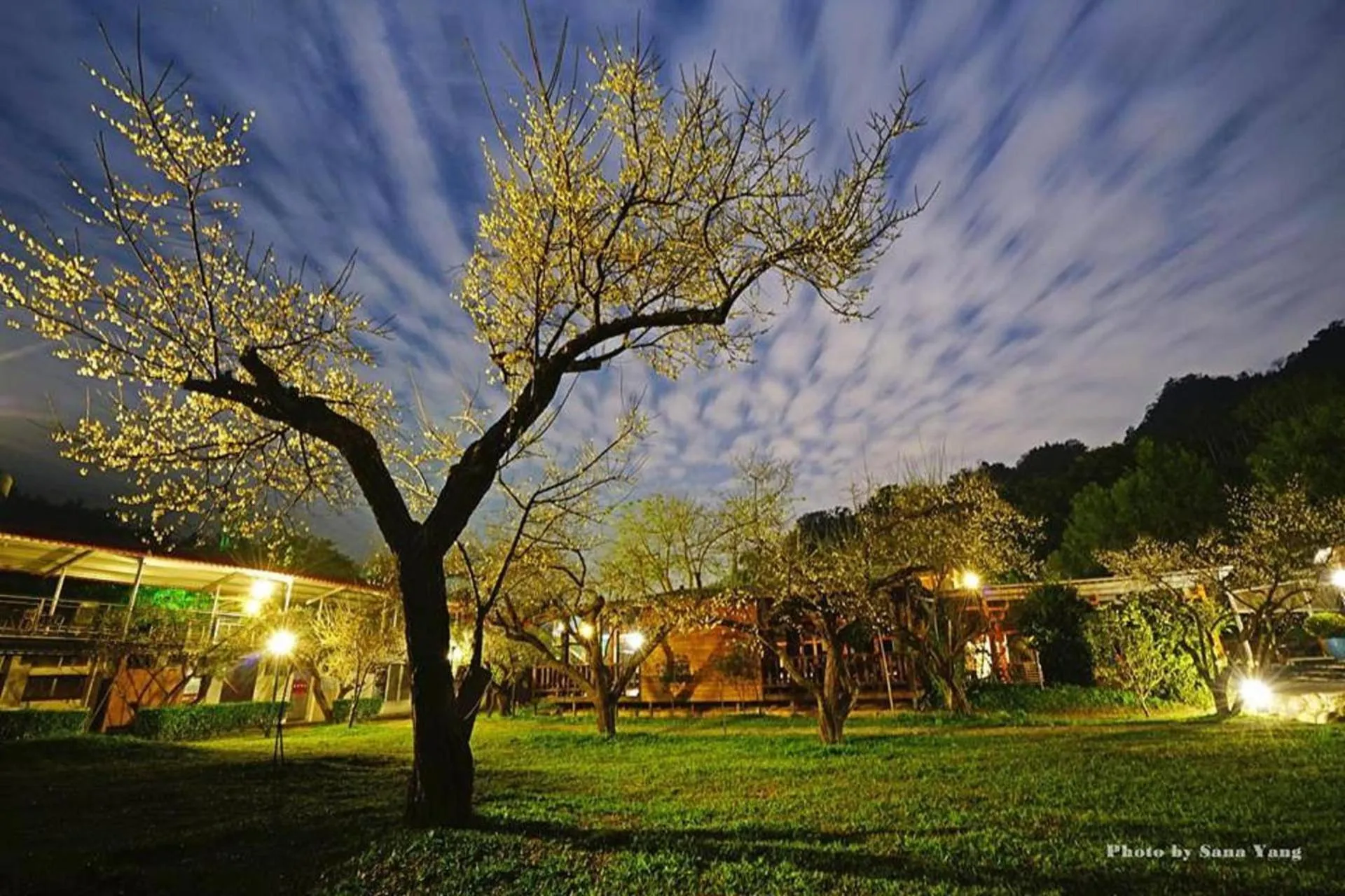 Spring in Maylin B&B