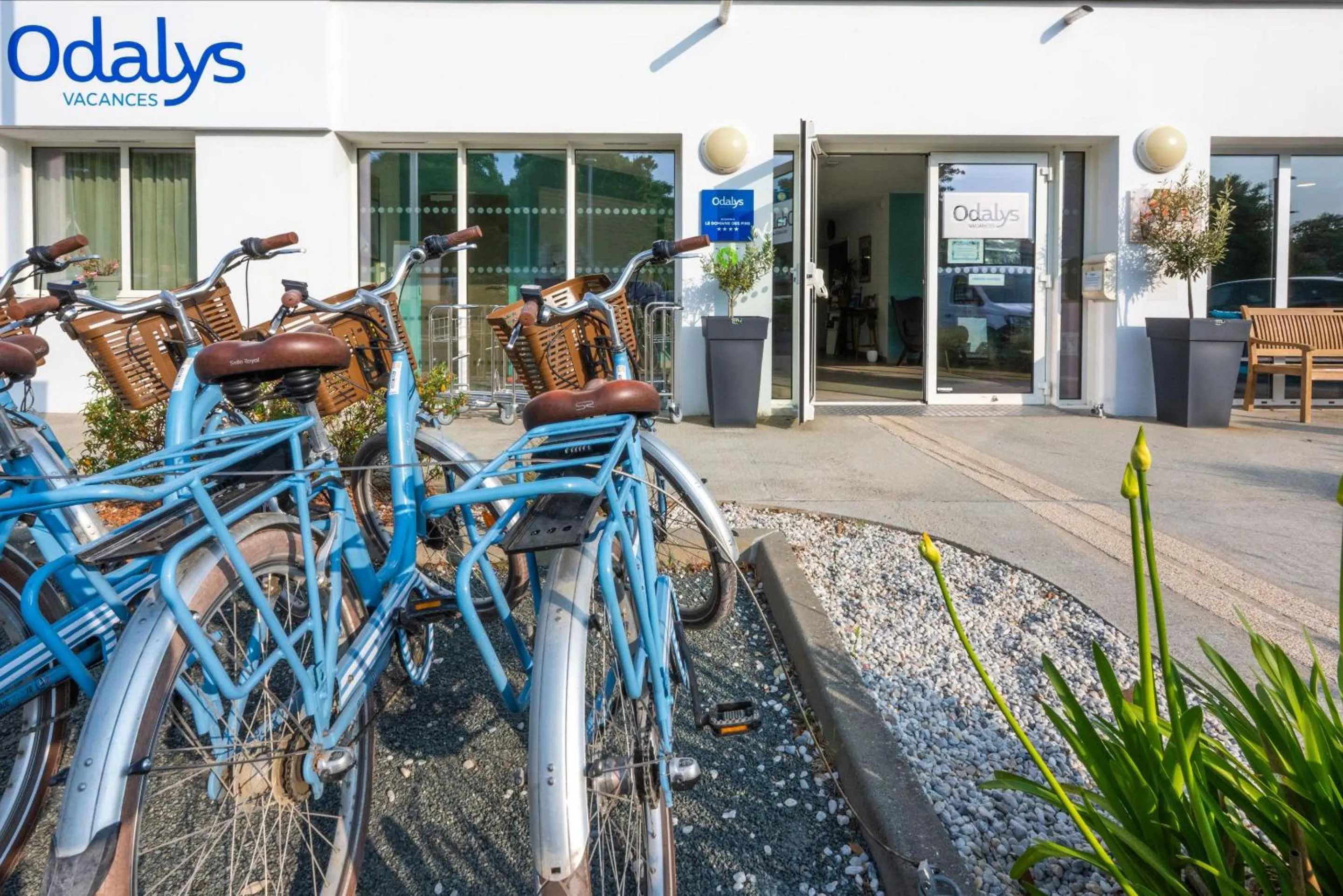 Day in Résidence Odalys Le Domaine des Pins