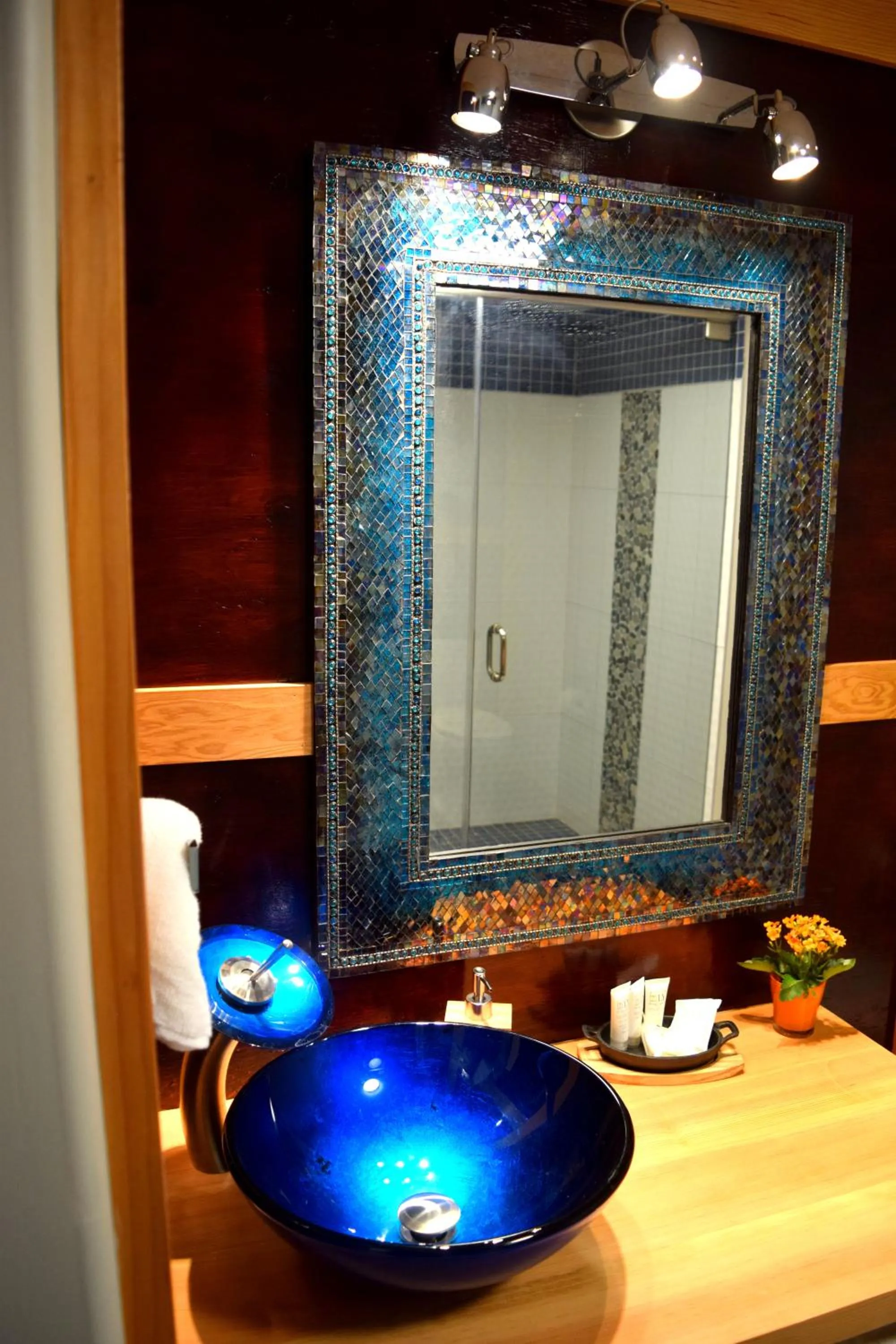 Bathroom in South Africa House Guest Lodge