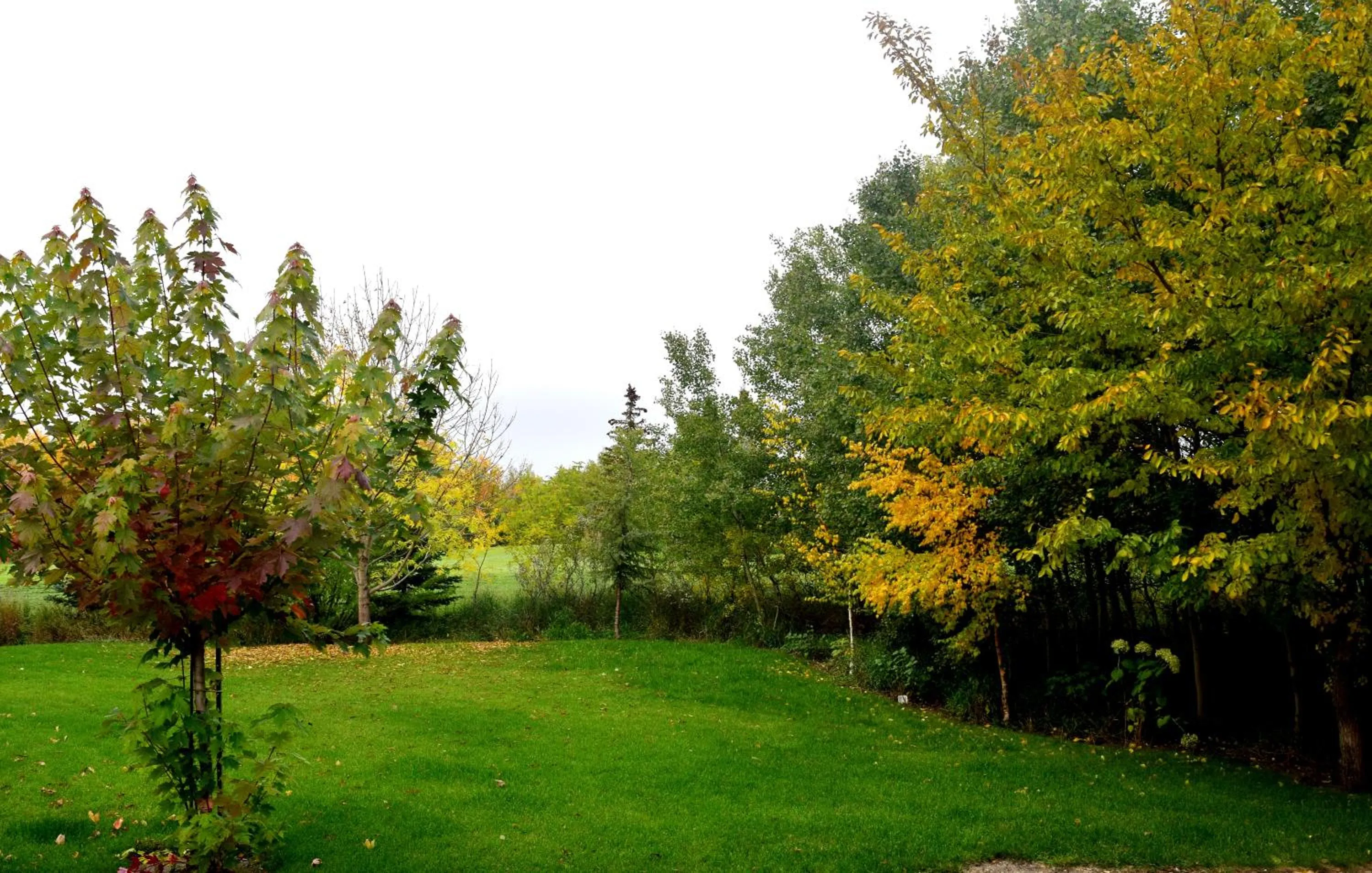Natural landscape in South Africa House Guest Lodge