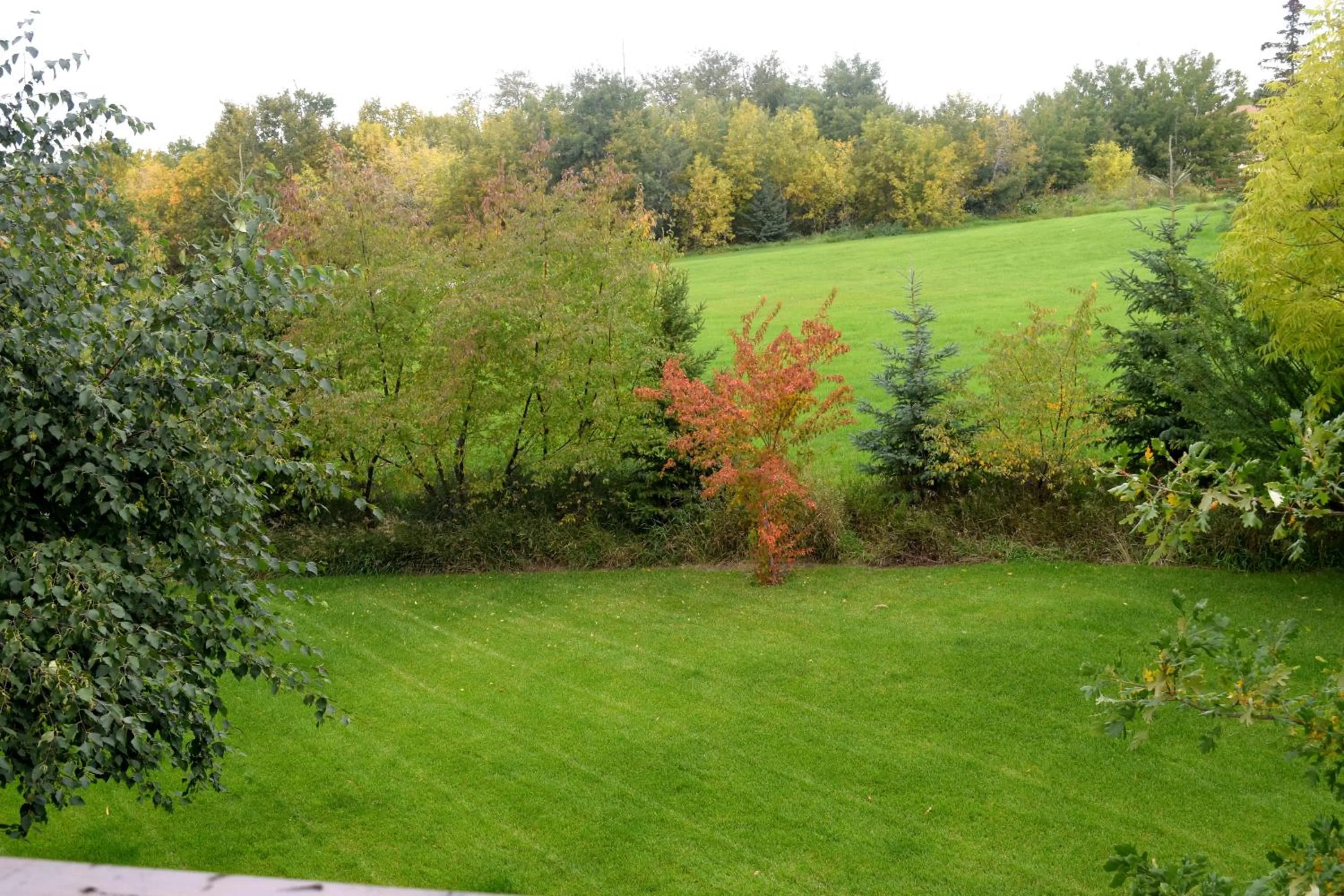 Facade/entrance in South Africa House Guest Lodge