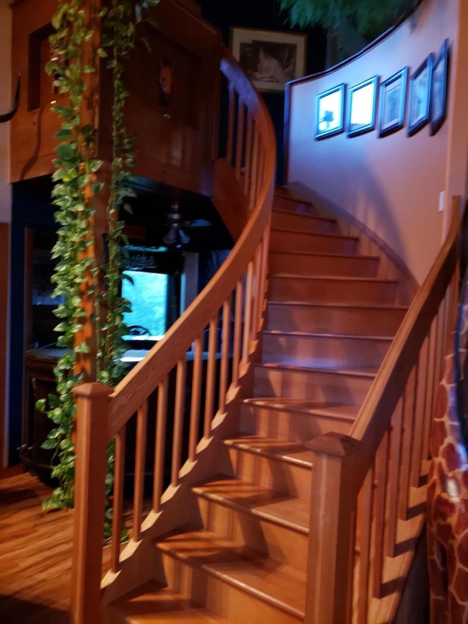 South Africa House Guest Lodge