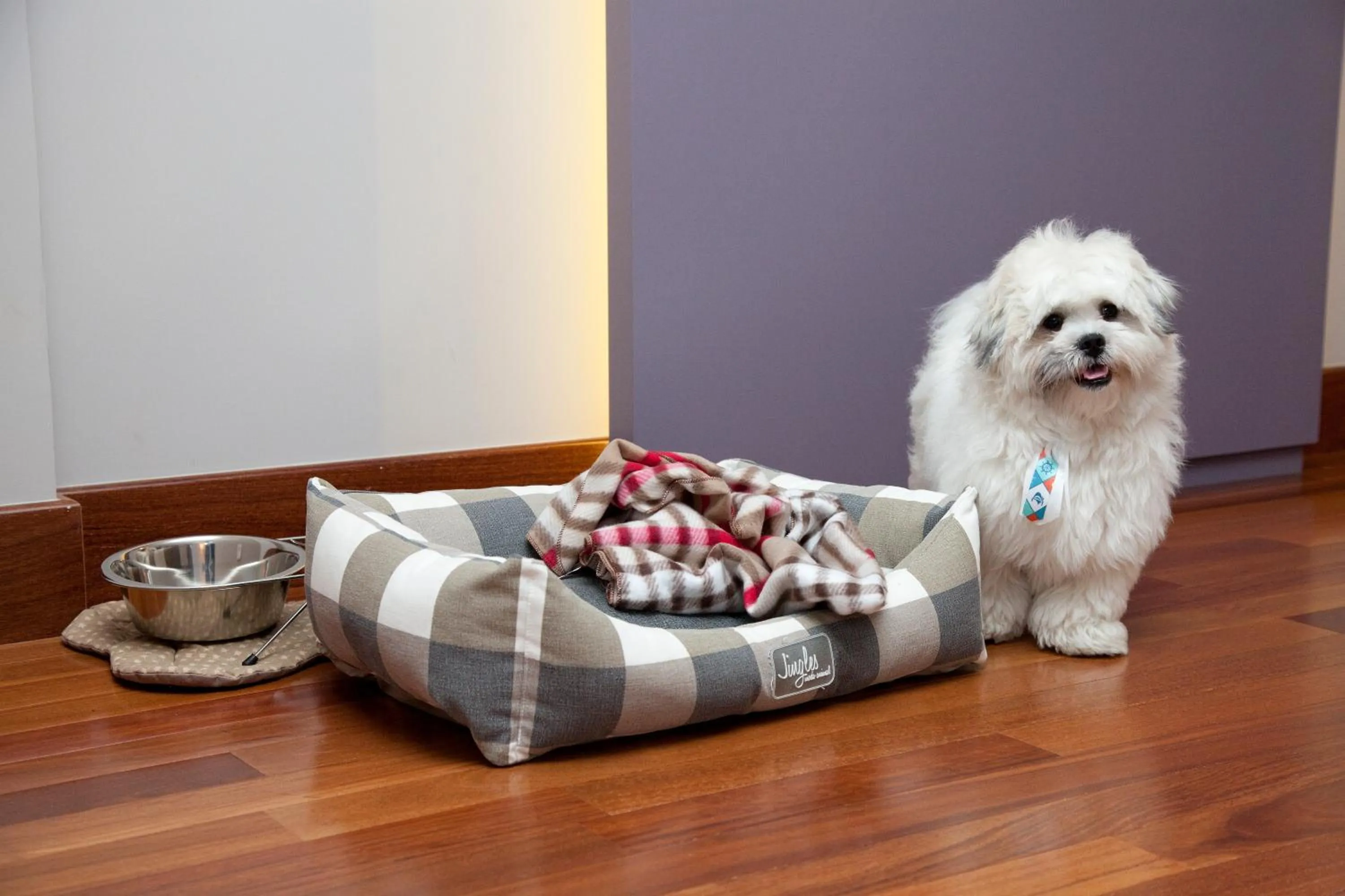 Pets in NH Collection Curitiba