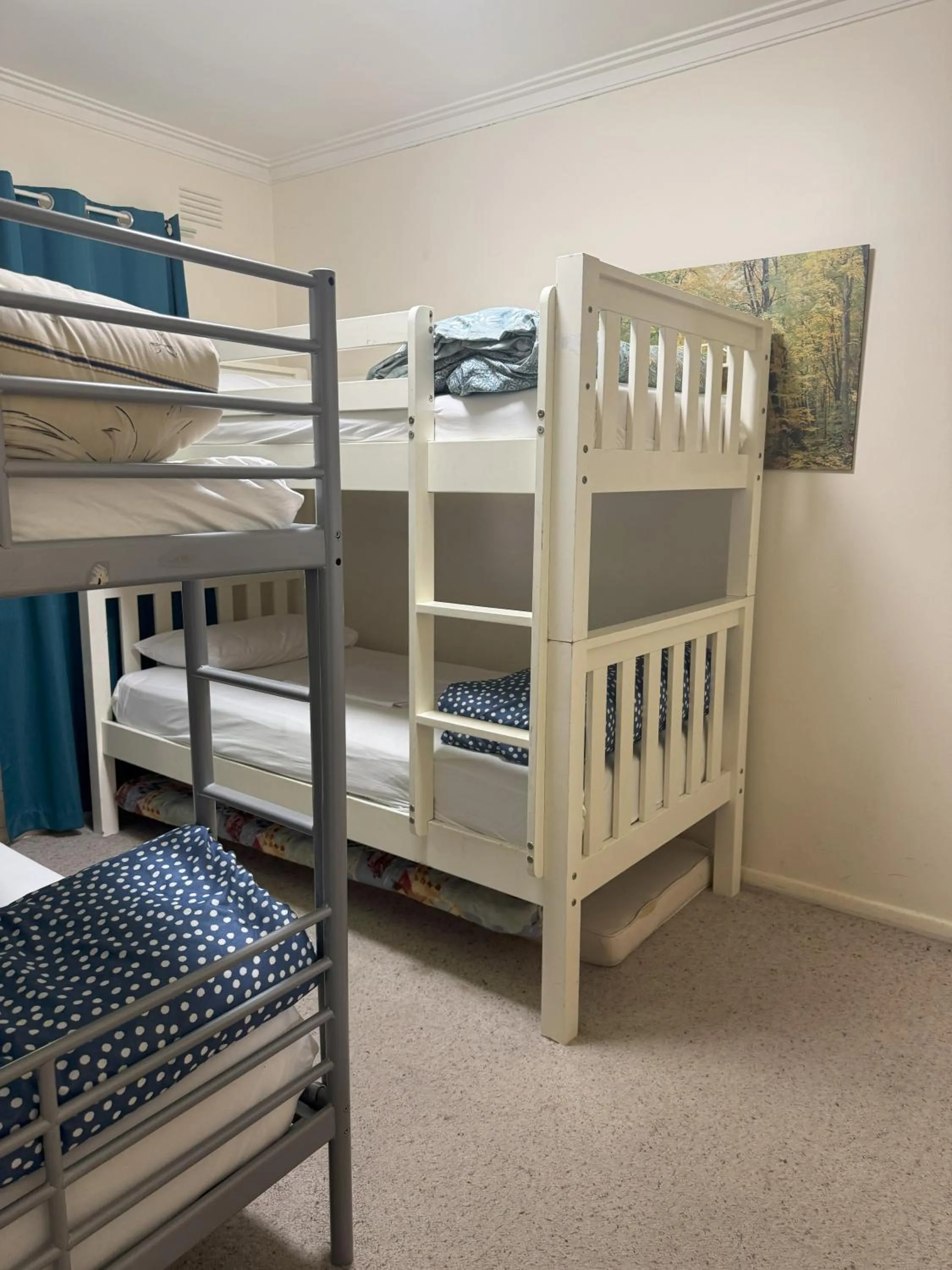 bunk bed, Bed in Ovensview On Riverside