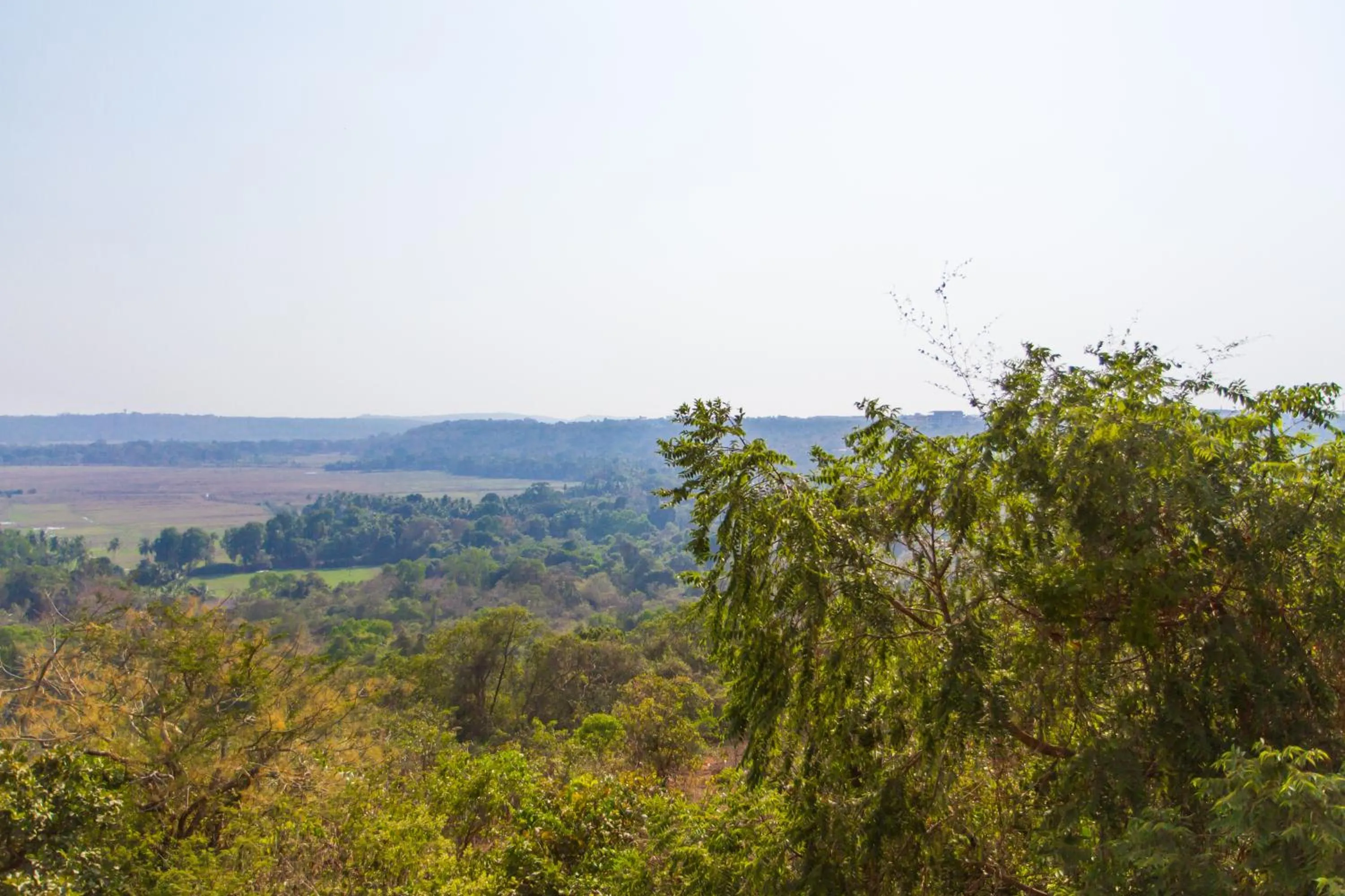 Neighbourhood in Westwood Residence Goa - The Boutique Hotel