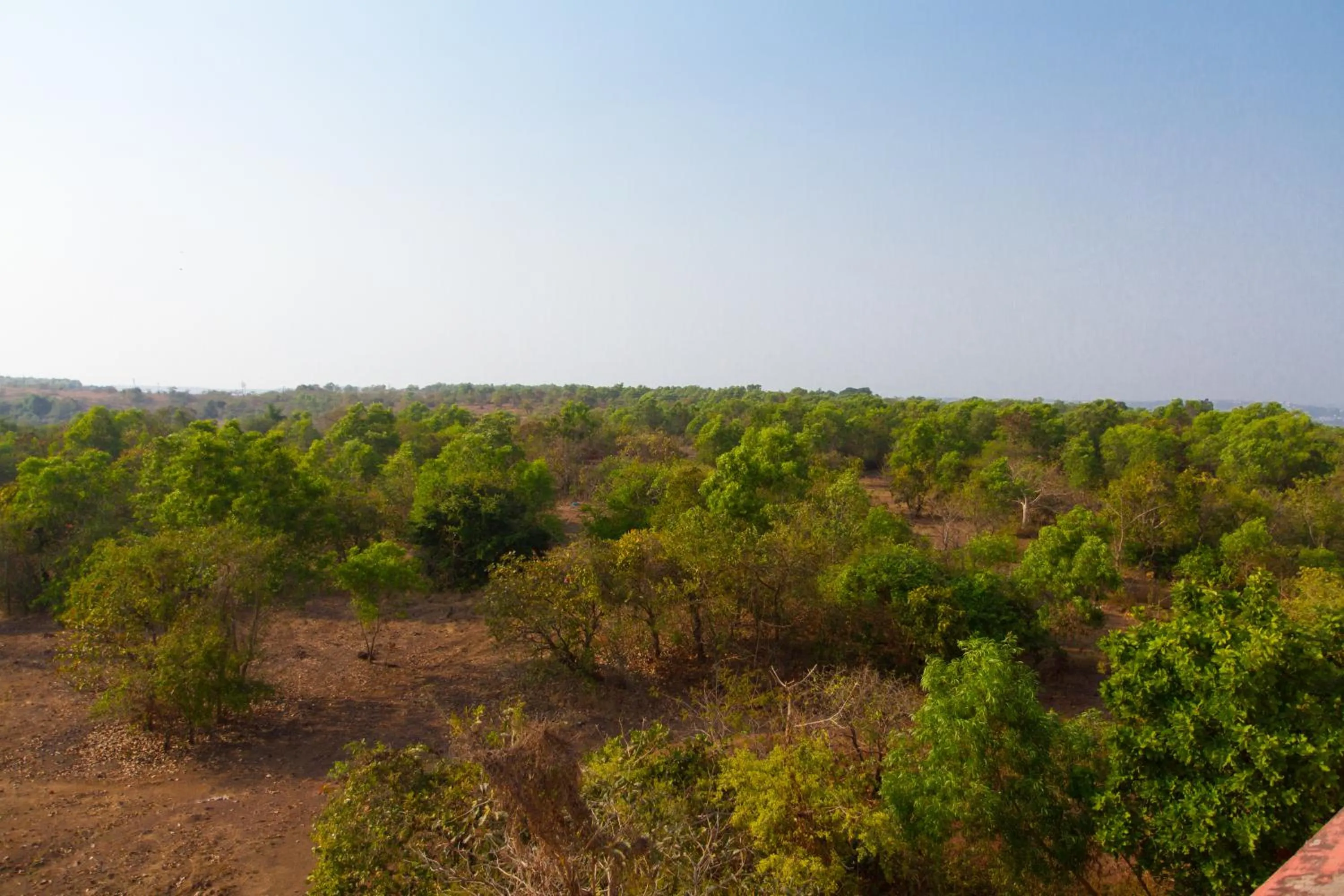 Natural landscape in Westwood Residence Goa - The Boutique Hotel